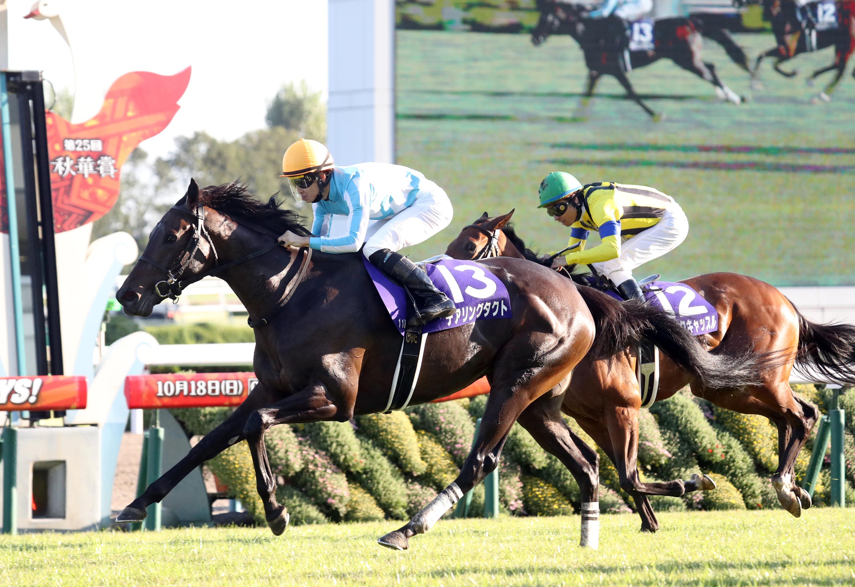 デアリングタクト 無敗の牝馬3冠馬 - サンスポ