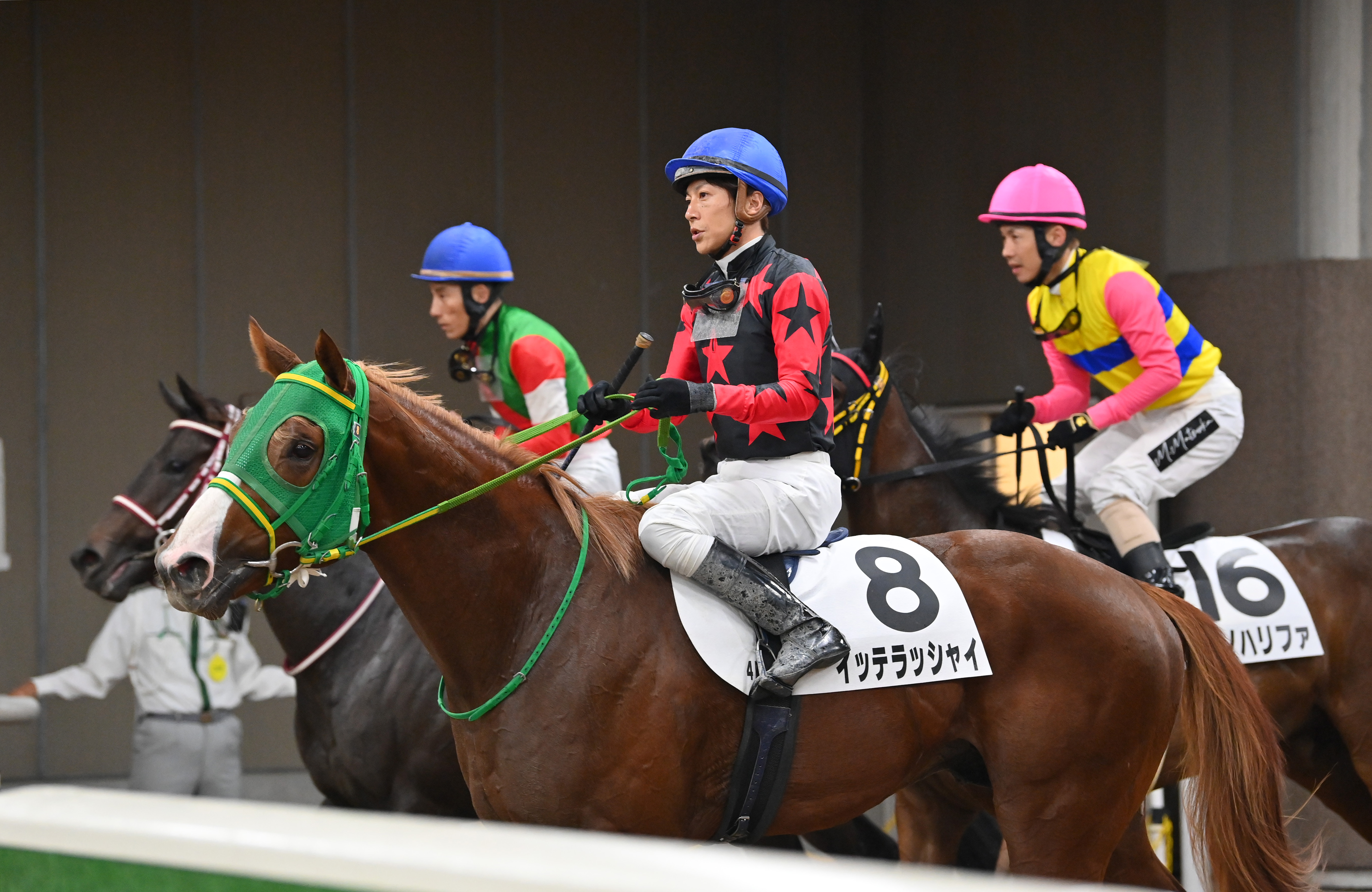 2歳新馬・東京4R】ホリエモン所有馬のイッテラッシャイはデビュー戦で