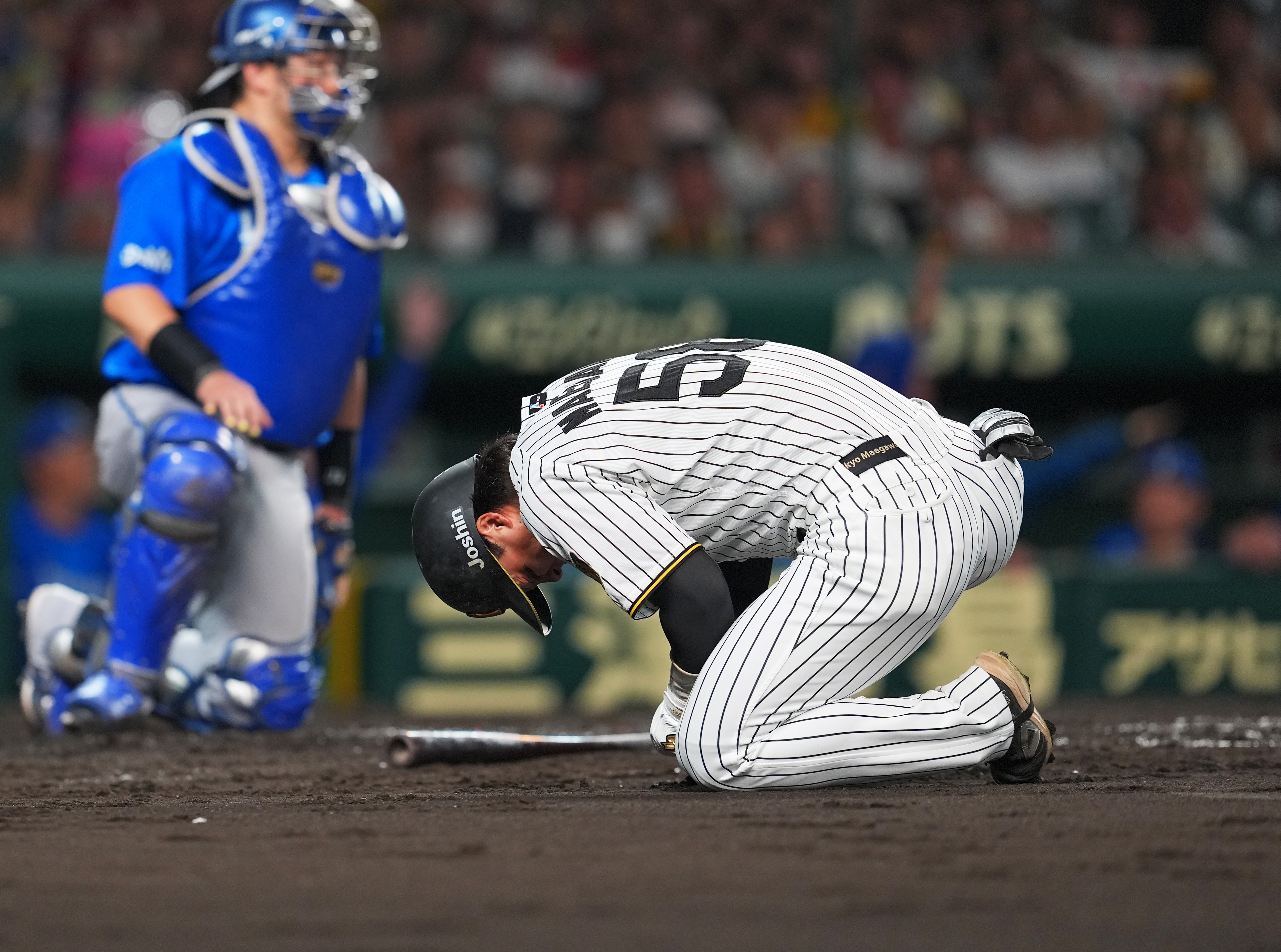 阪神タイガース前川死球