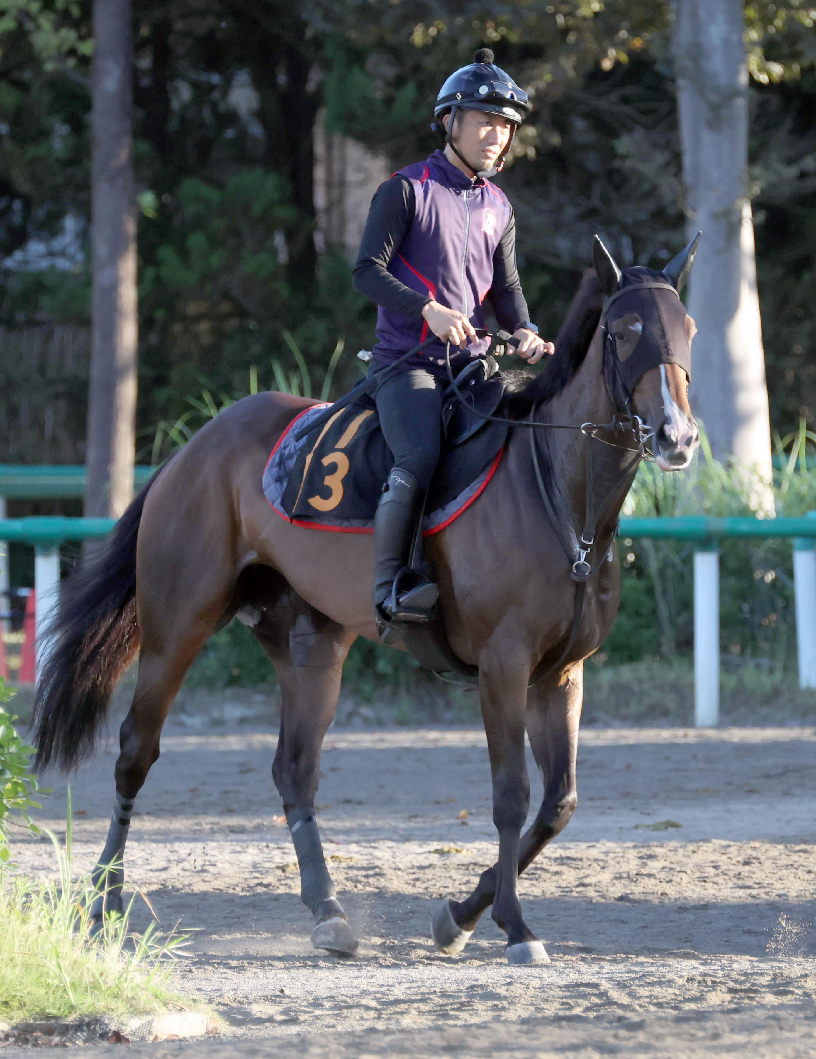 【紫苑Ｓ】オークス６着のヒップホップソウル 木村師は「確実に脚 ...