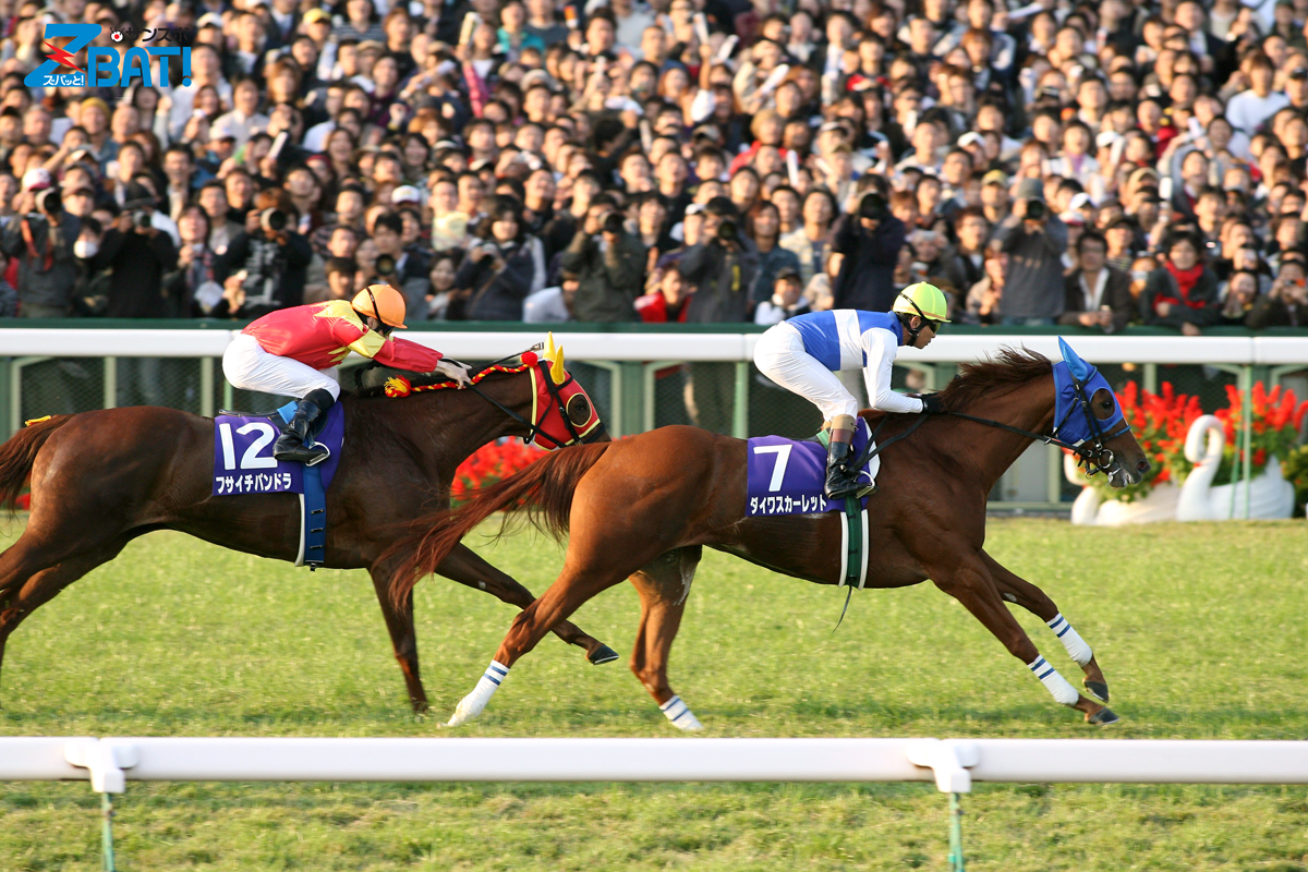 ZBAT写真館】ダイワスカーレット - サンスポZBAT!