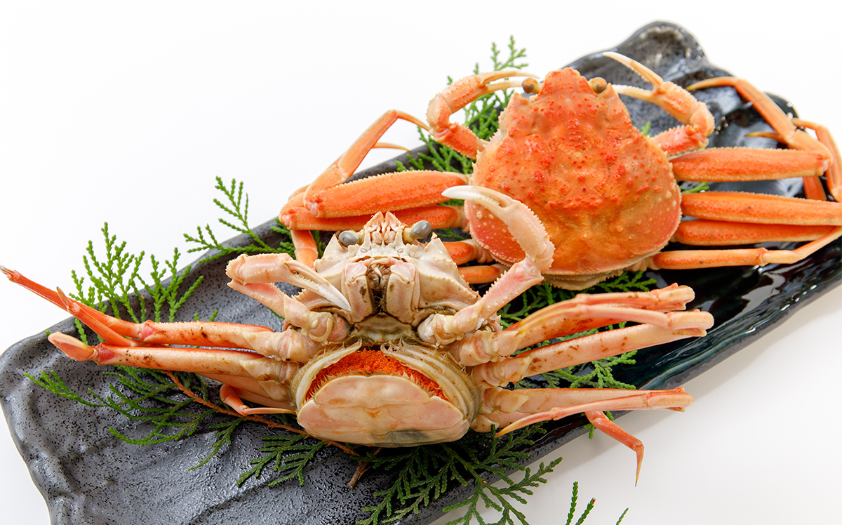 ニカ好きのニカ好きによるニカ好きのための出品 数量限定の訳あり品！「兵庫県香住産 セコガニ」一度食べるとやみつき