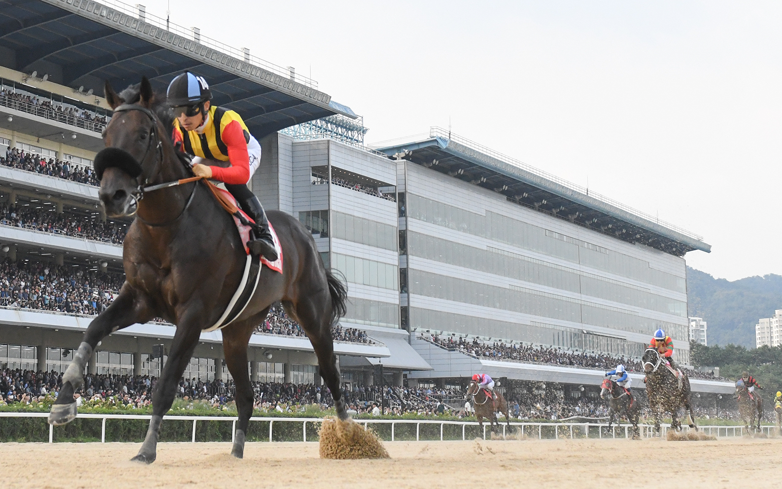 コリアＣ圧勝のクラウンプライドはＪＢＣ競走を自重