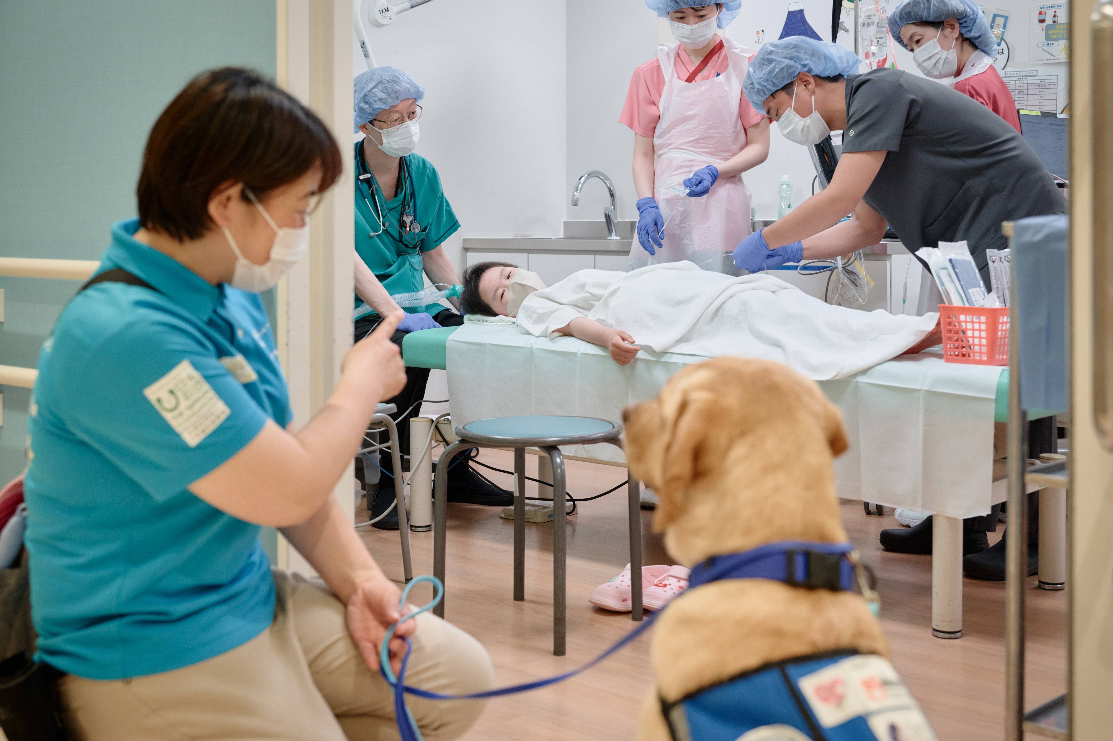 日本にたった4頭の難病児支える犬、神戸でも導入へ 活動広がるも年1千