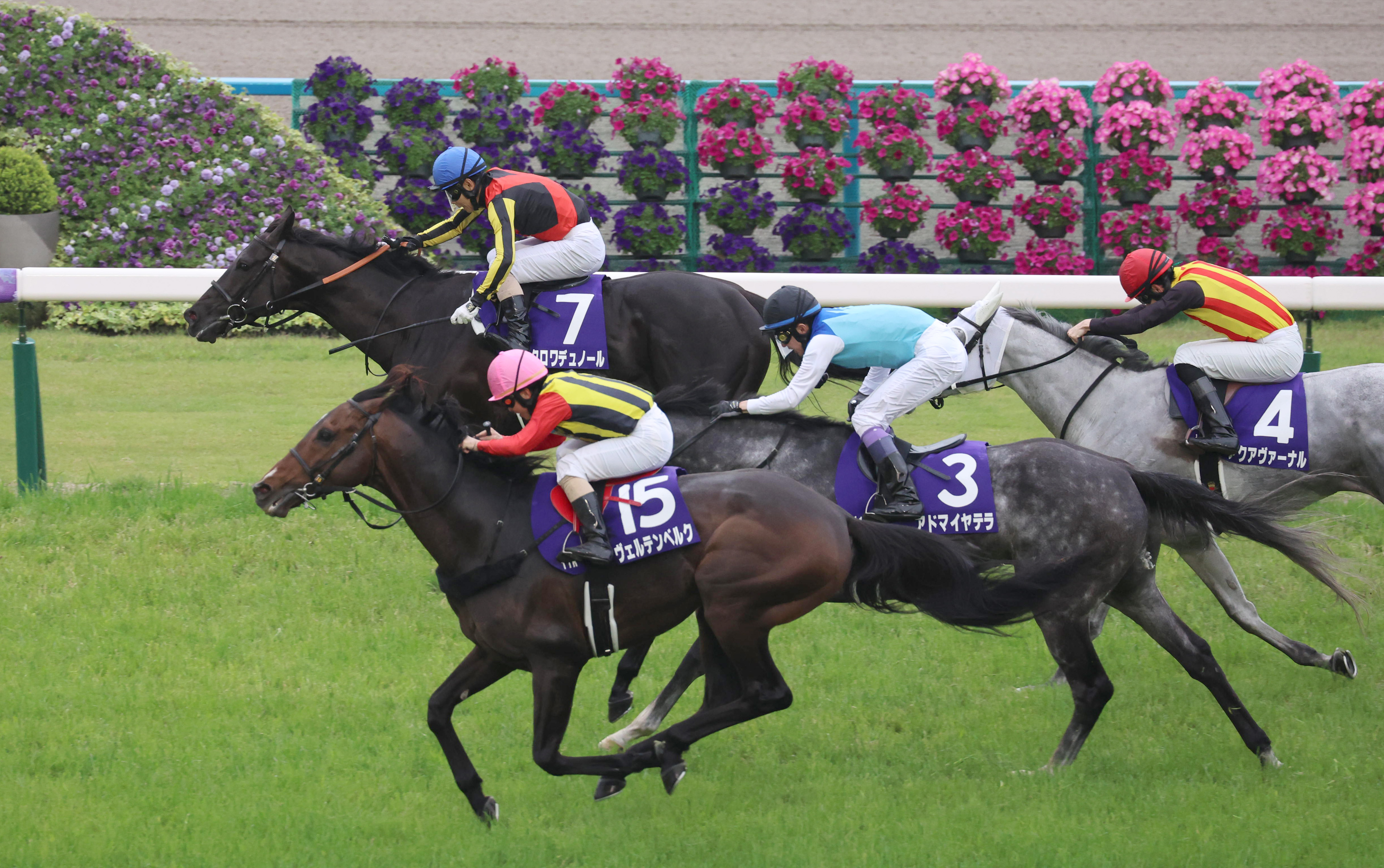 天皇賞・春】クロワデュノール・北村友一騎手「あれだけの接戦だった