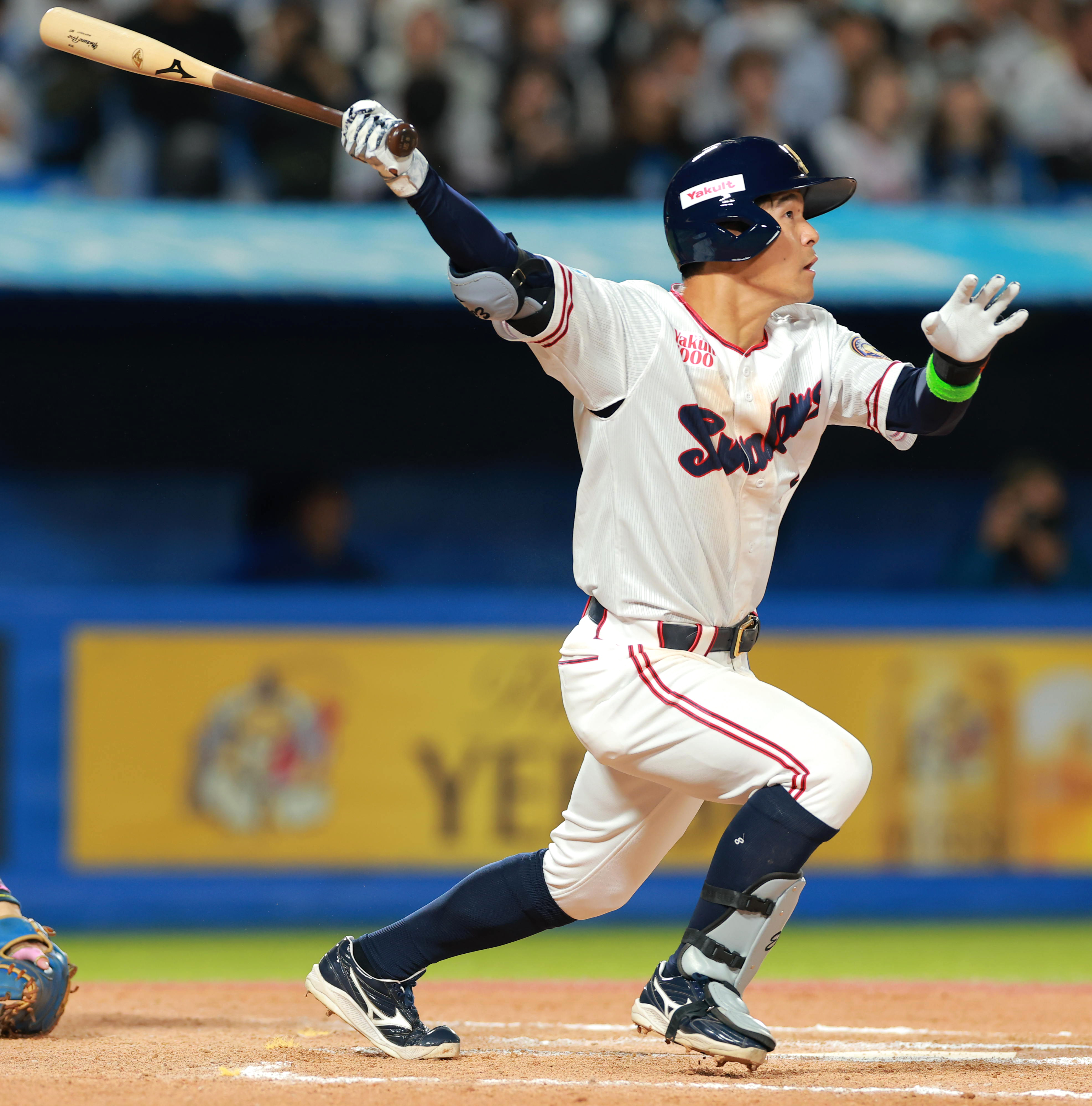 NPBバット　茂木栄五郎 ヤクルト・茂木栄五郎、再調整のため出場選手登録を抹消 - サンスポ