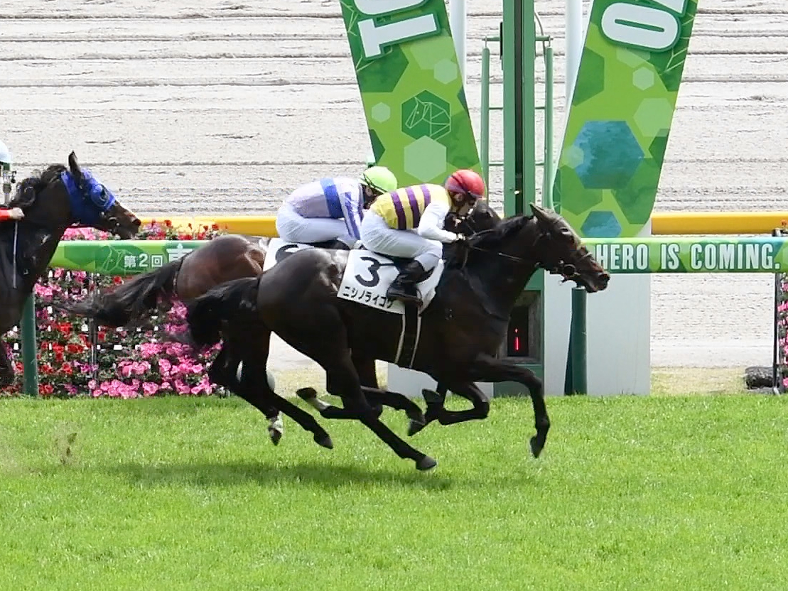 JRA 競馬 ’91世界最強3歳馬アラジ号 写真(額入り) ヒロシのDeepな話】「斤量有利」3歳馬なのに買い続ければ