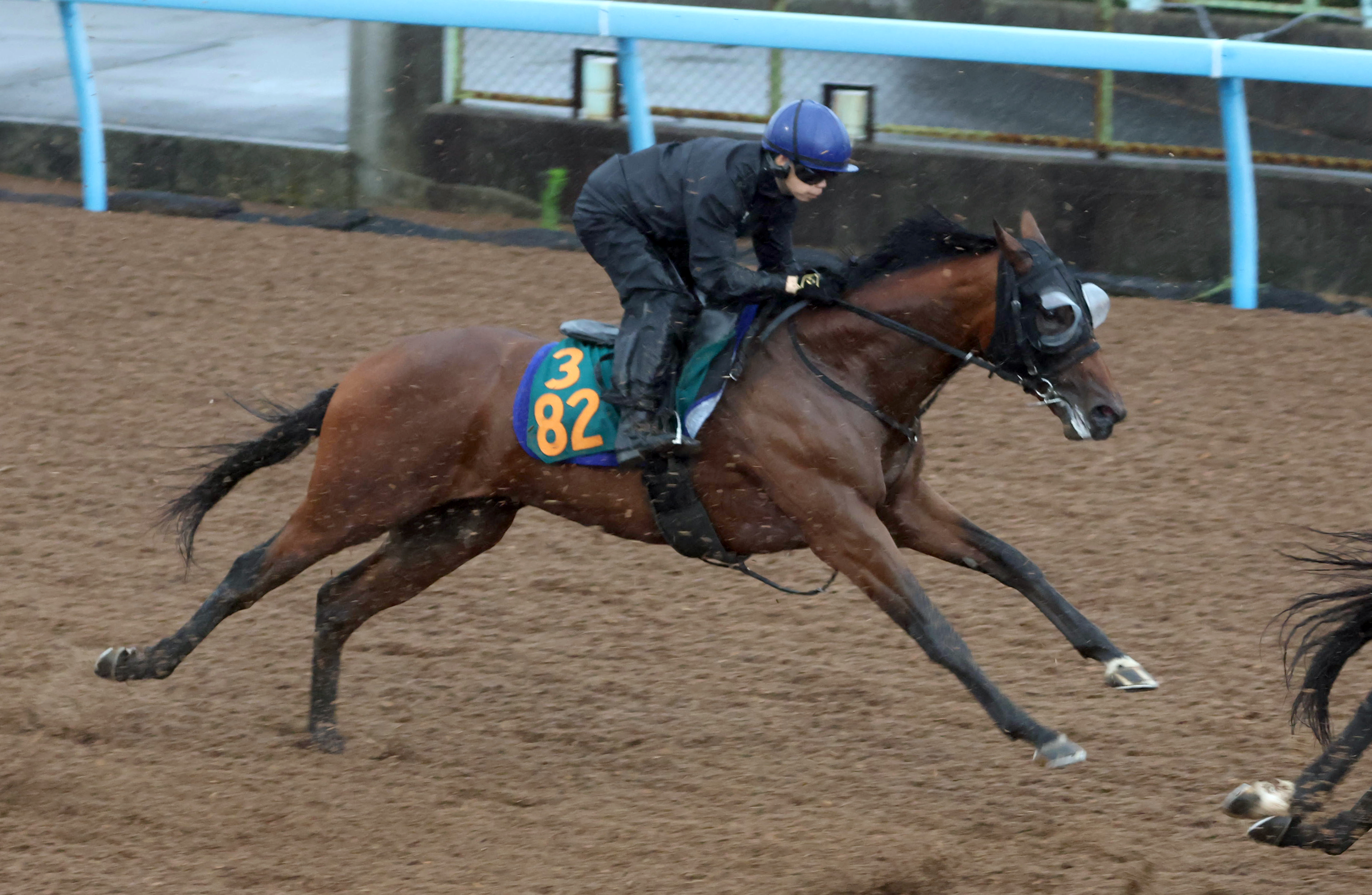 新潟2歳S 1週前追い切り】同舞台で新馬Vのトウシンマジックはウッドで
