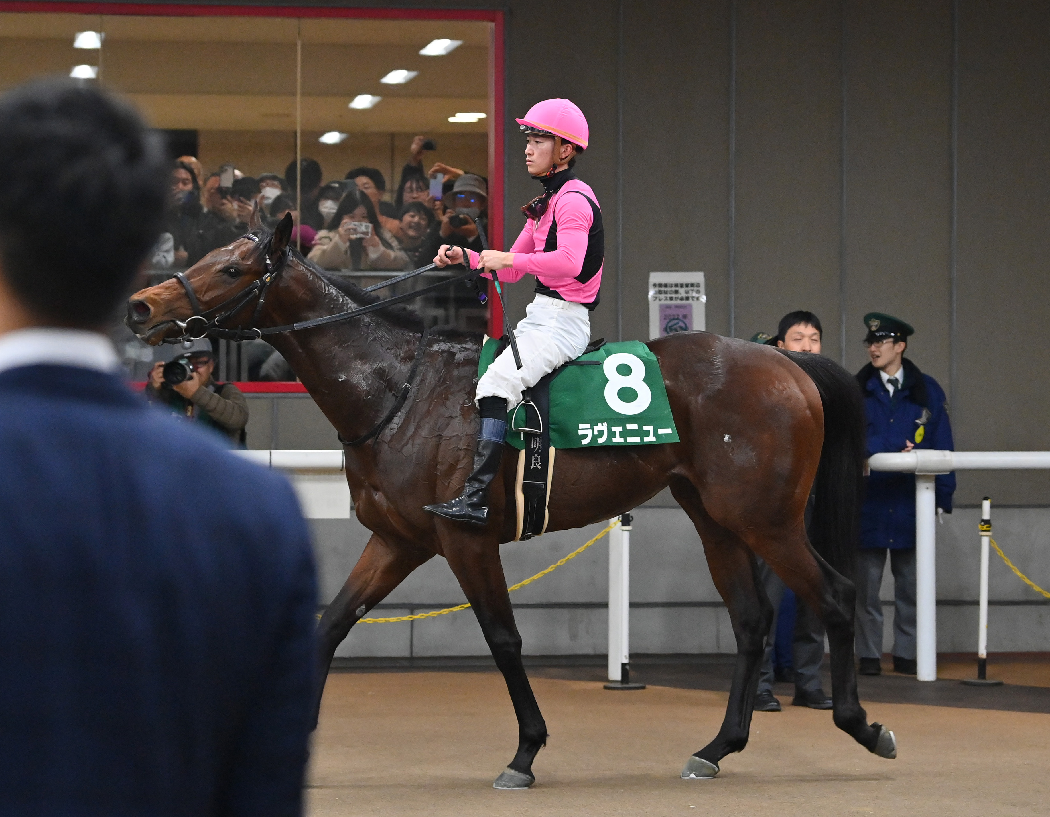 3歳次走報】ラヴェニューは武豊騎手との初タッグで毎日杯へ - サンスポ