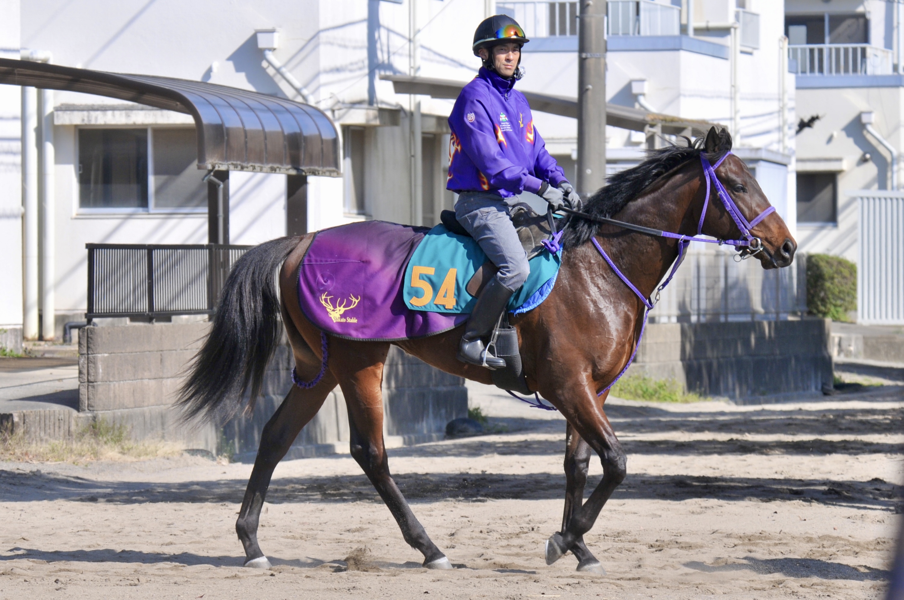 合う馬 今週の注目新馬】エスクアドラは近親にGⅠホース多数の良血 鹿戸師