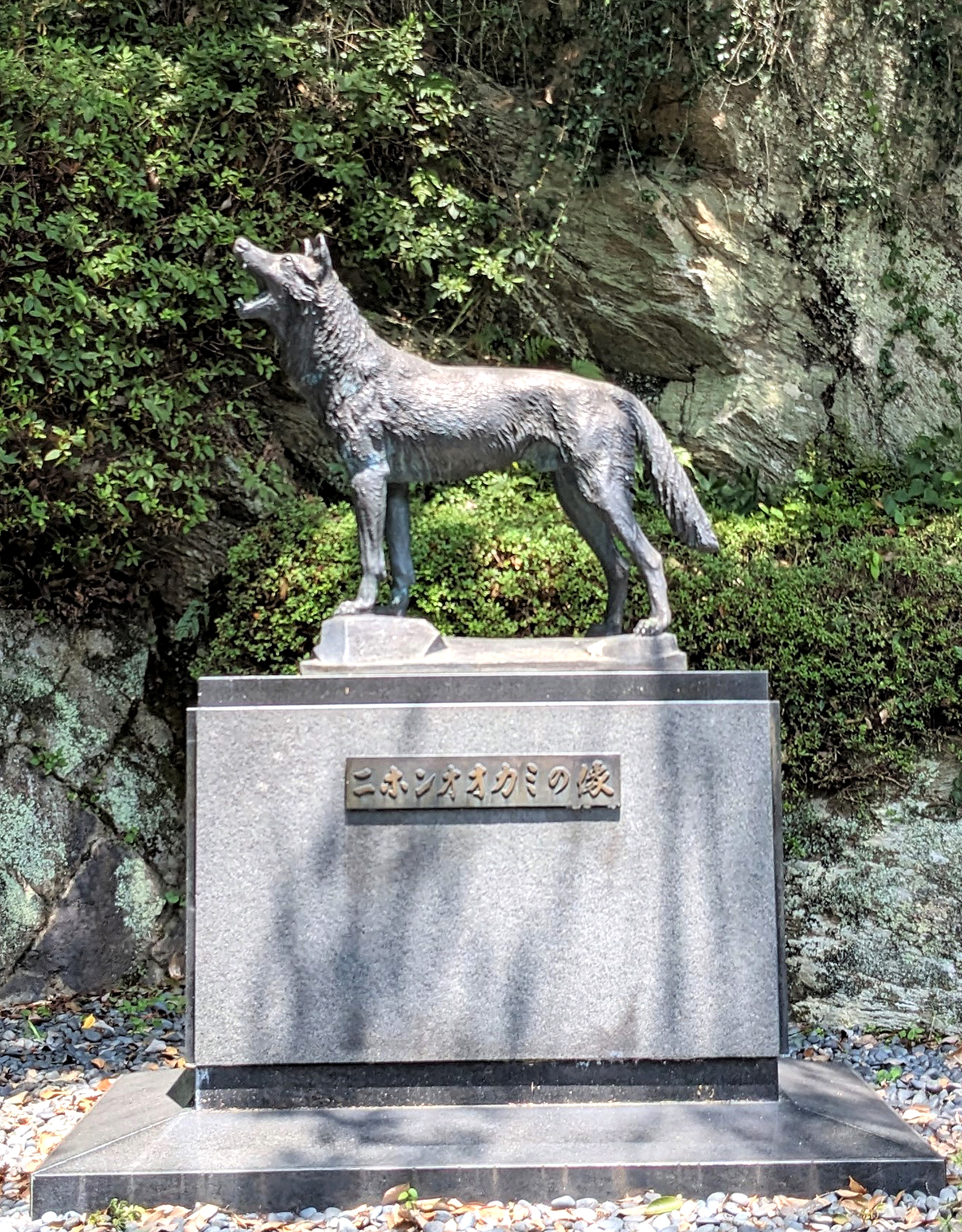 ニホンオオカミ捕獲から120年「気高さを感じて」 終焉の地の奈良・東吉