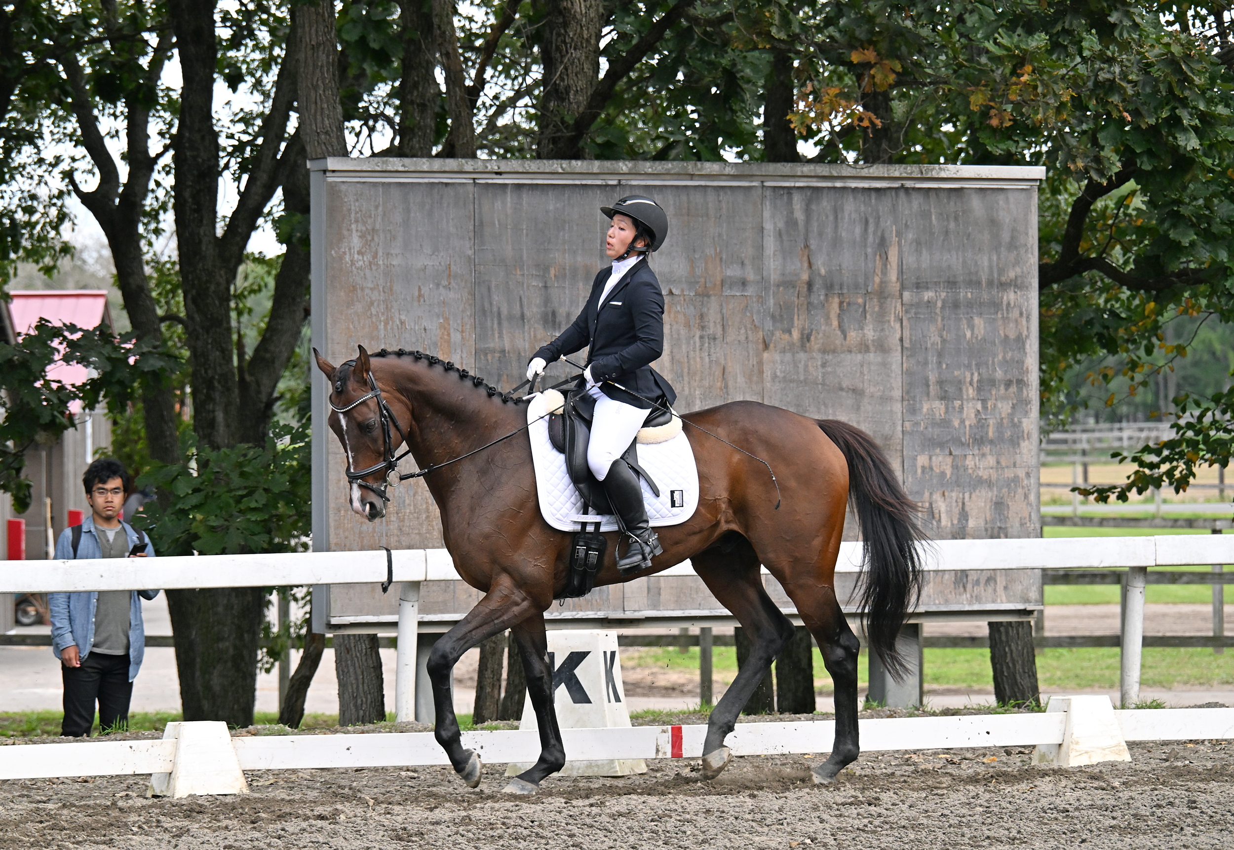 RRC FINAL2025「馬場馬術」「障害馬術」展望】12月7日JRA馬事公苑で