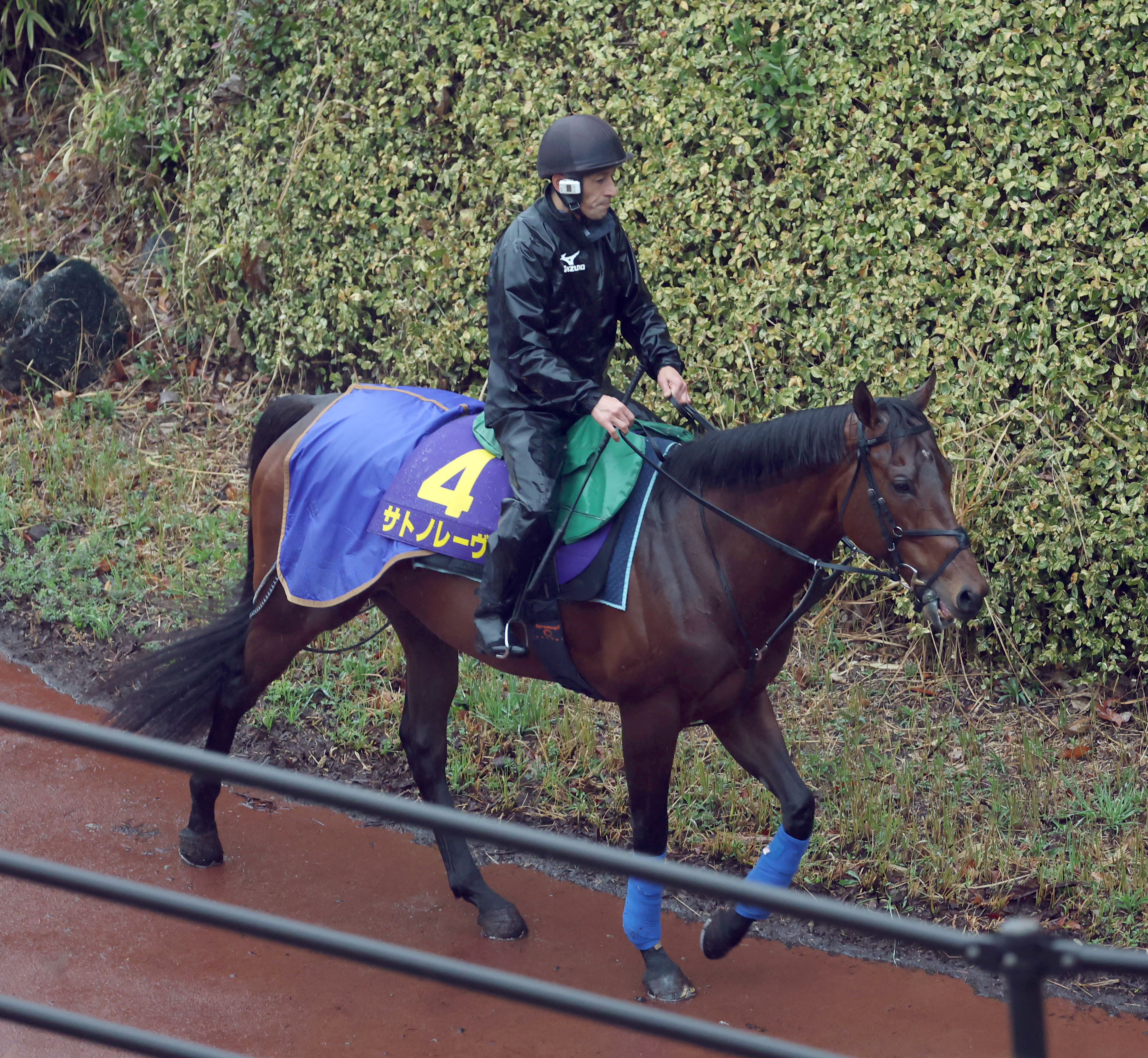 高松宮記念 調教後馬体重】サトノレーヴは530キロ、パンジャタワーは