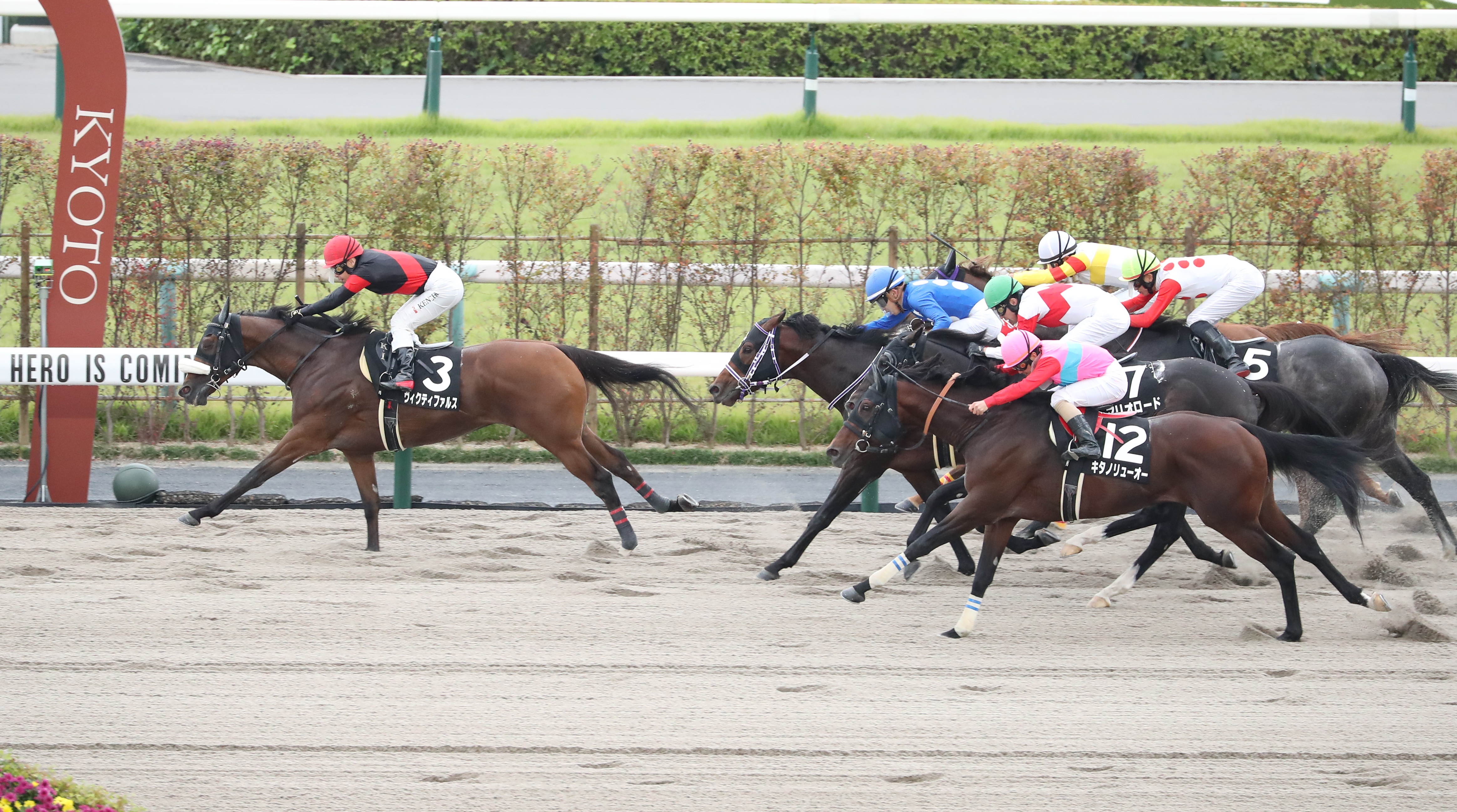 【太秦Ｓ】ヴィクティファルスが初めてのダートで激変して久々の ...