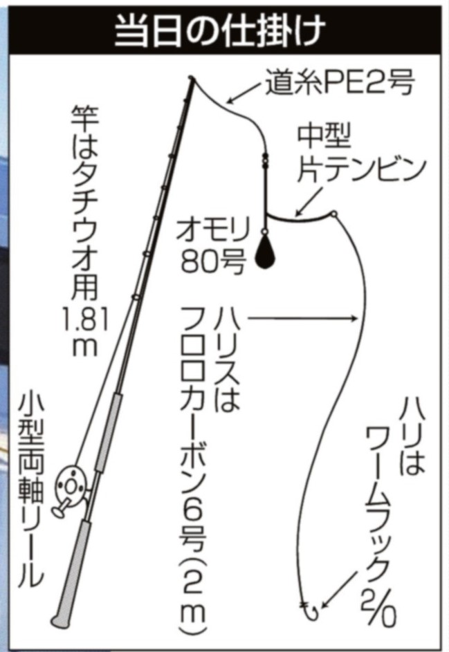 テンビンでエンジョイ初釣り 脂がのって絶品冬タチ 東京湾 大津沖 サンスポ