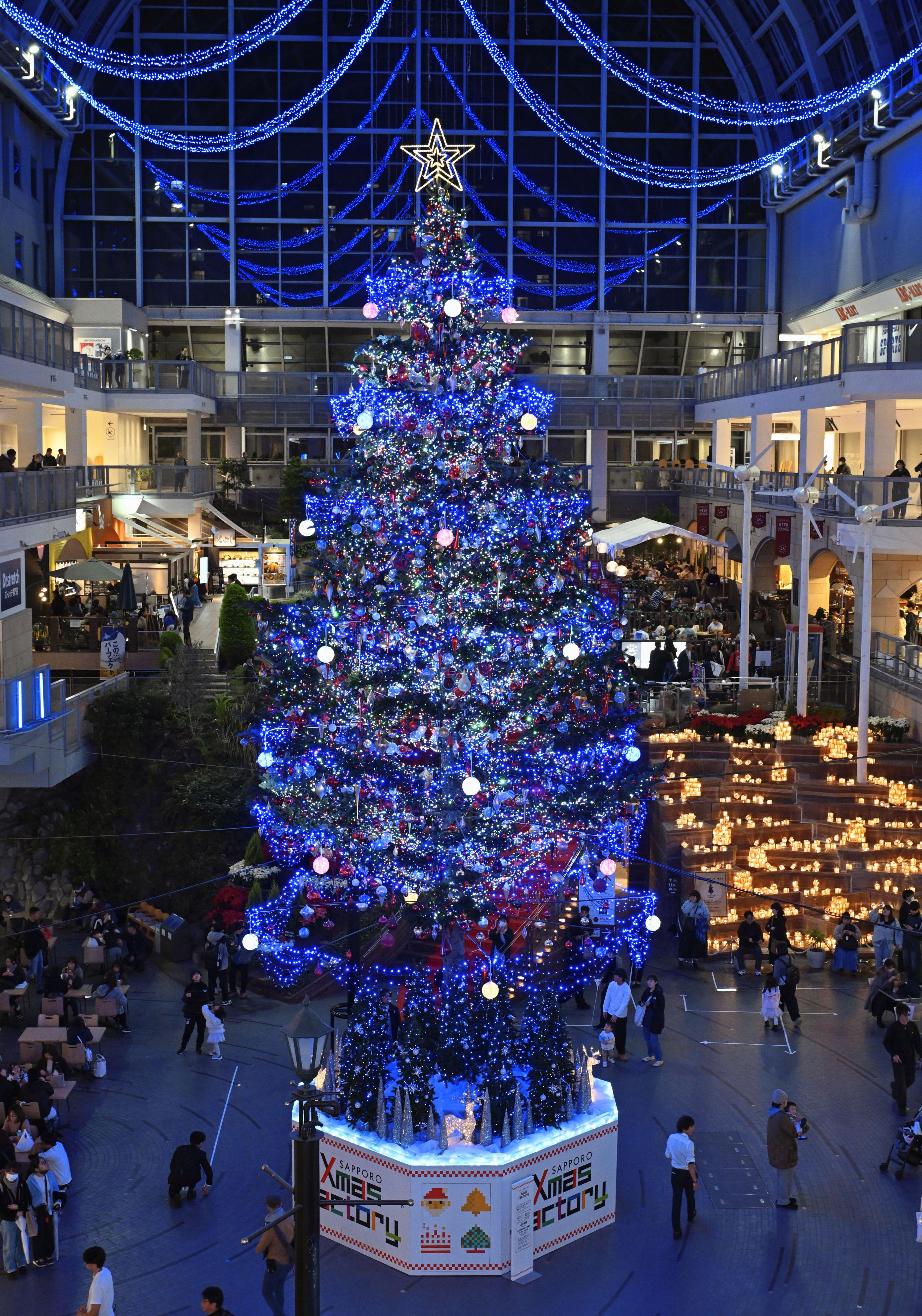5万個の光ツリー照らす 一足先にクリスマス、札幌 - 産経ニュース