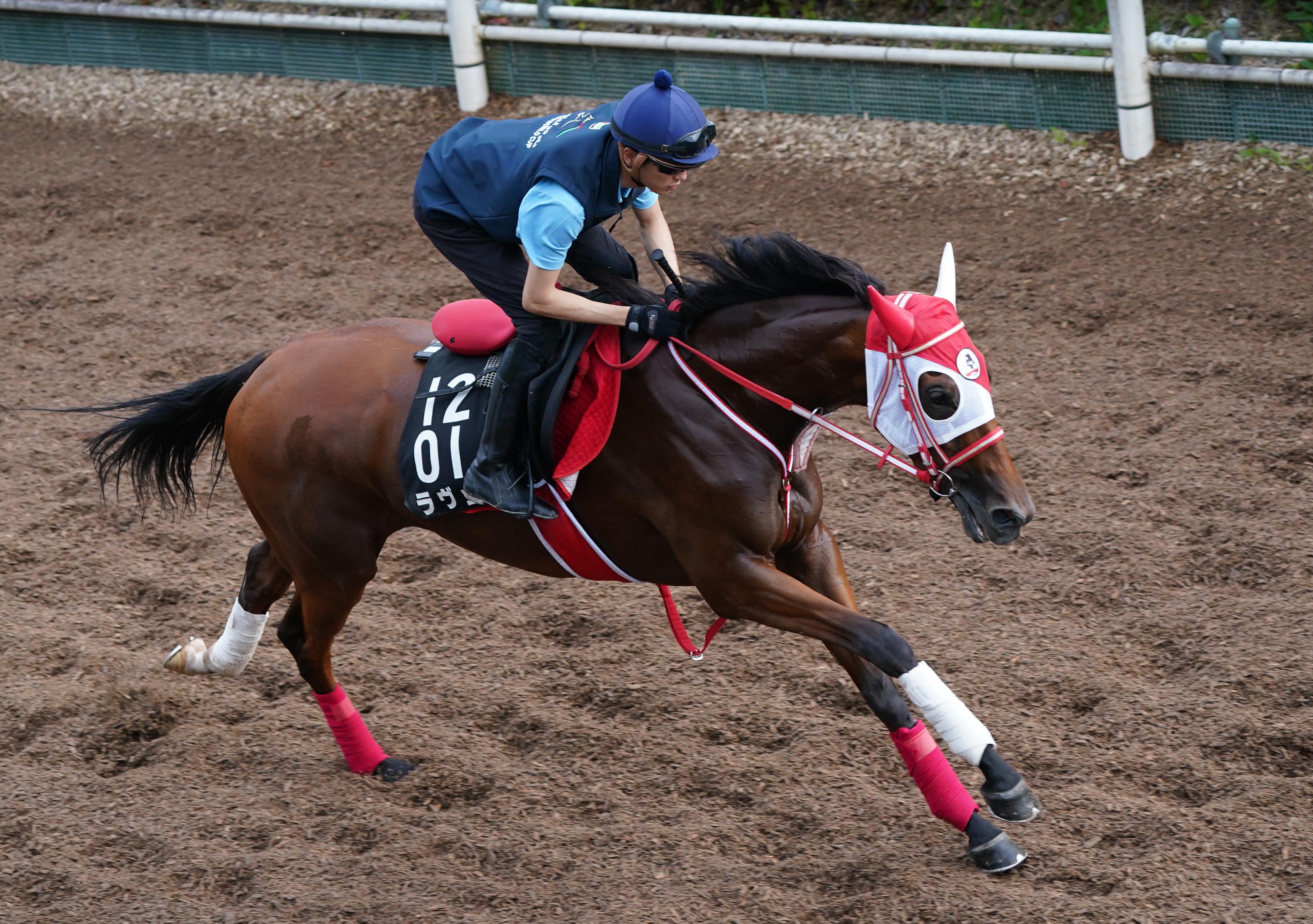 【ローズＳ】ラヴェル距離短縮歓迎！ 勝って秋華賞へ