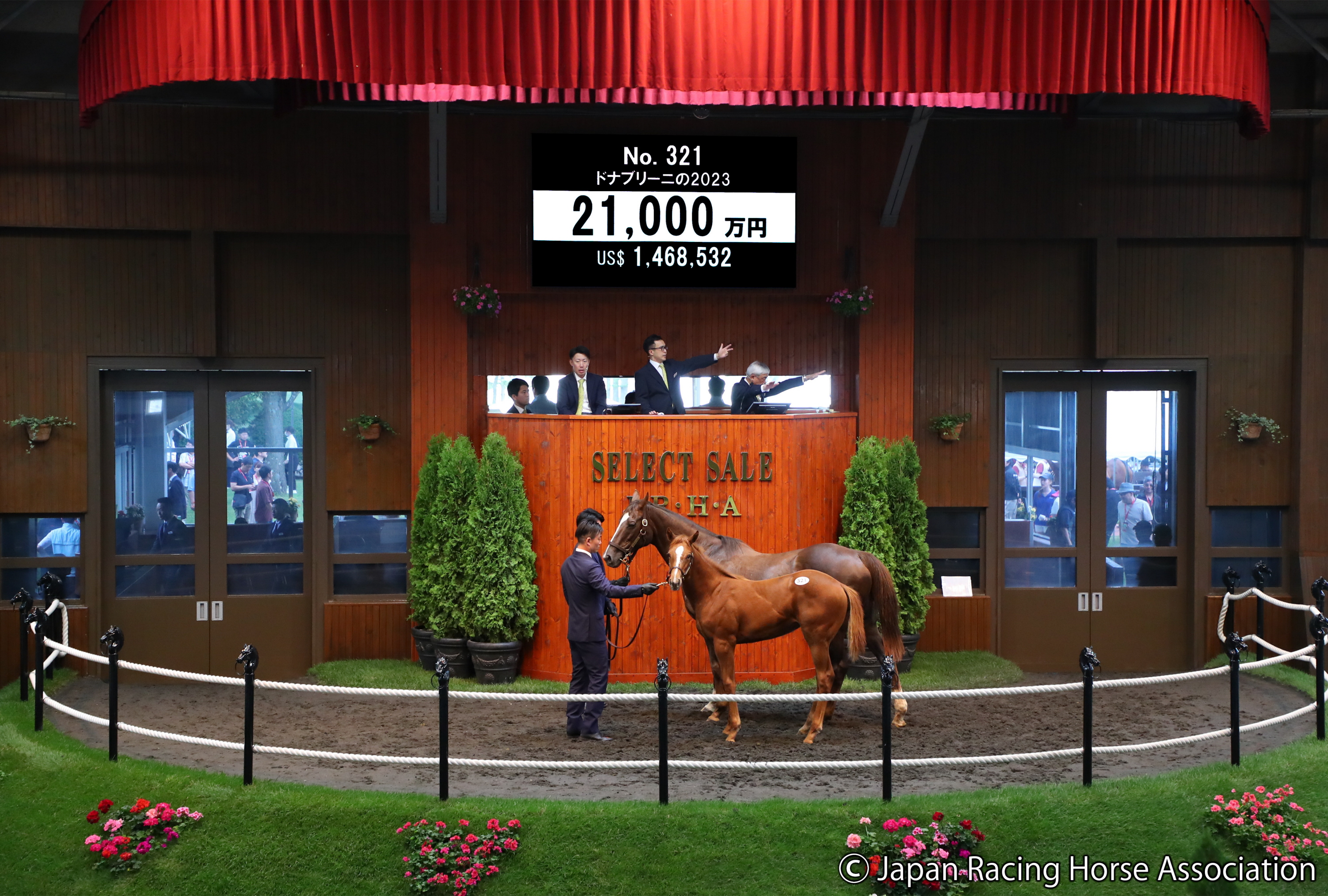 セレクトセール2023】ジェンティルドンナの半妹を香港の投資家