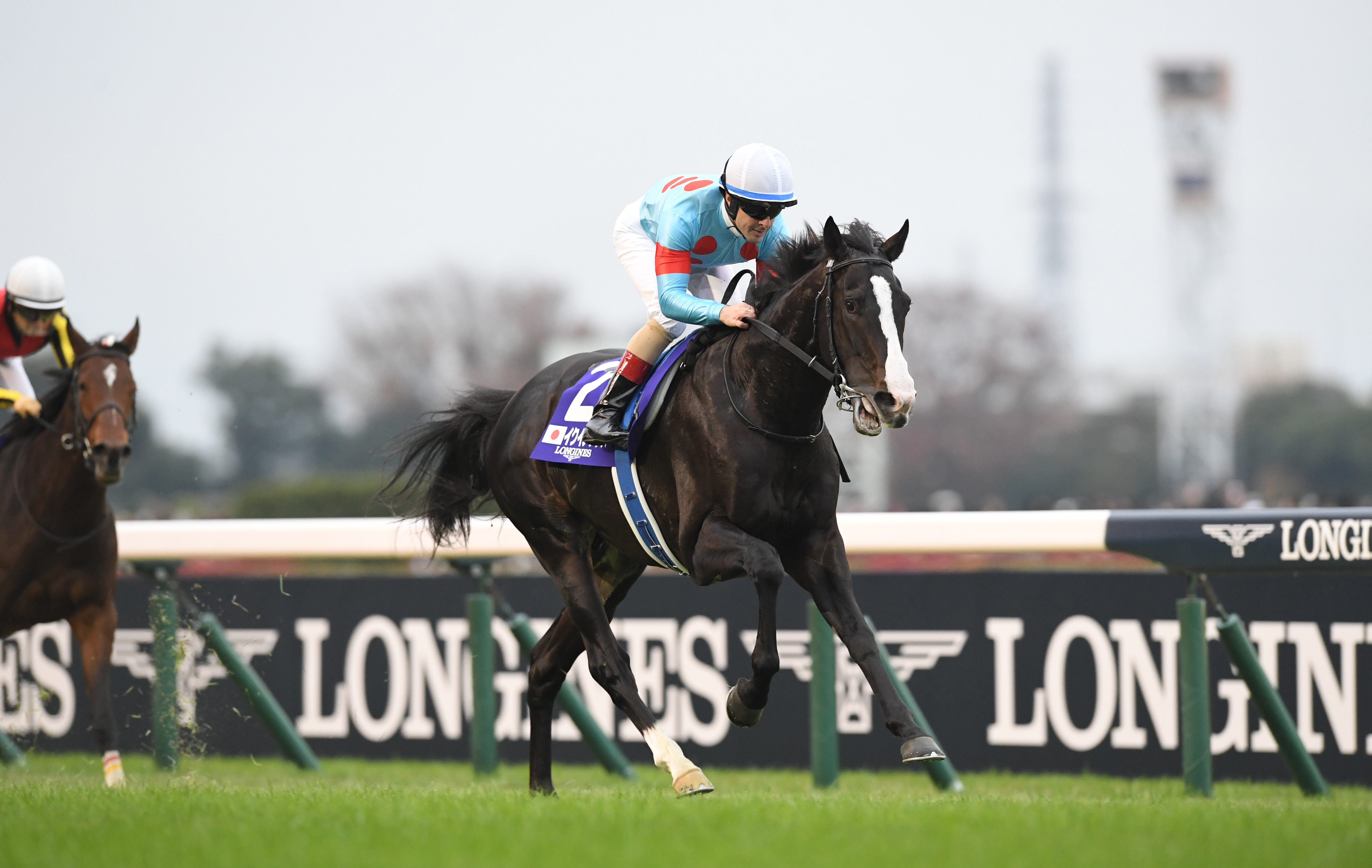 イクイノックスが2023年世界ランク年間1位！ 日本調教馬の歴代