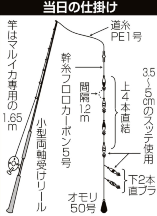 サンタ様】ダイワ マルイカ仕掛け オモリ50号 セット サンタ様】ダイワ マルイカ仕掛け オモリ50号 セット