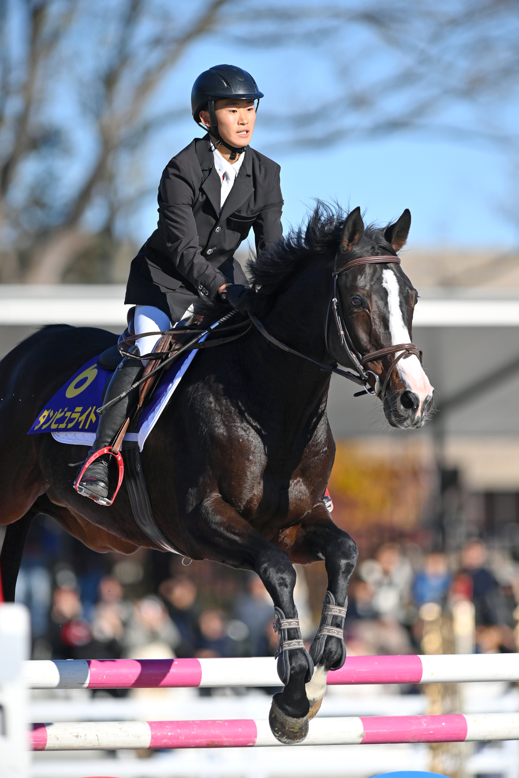 RRC FINAL2025「馬場馬術」「障害馬術」展望】12月7日JRA馬事公苑で