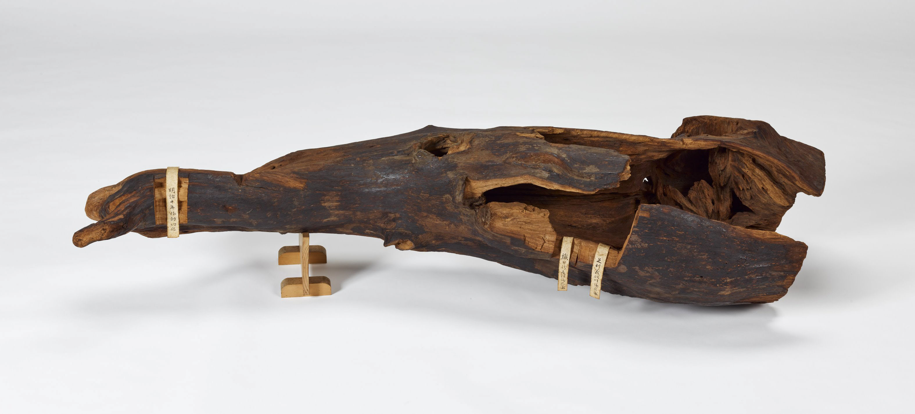 信長も欲した正倉院の香木「蘭奢待」は8～9世紀伐採か 甘みある