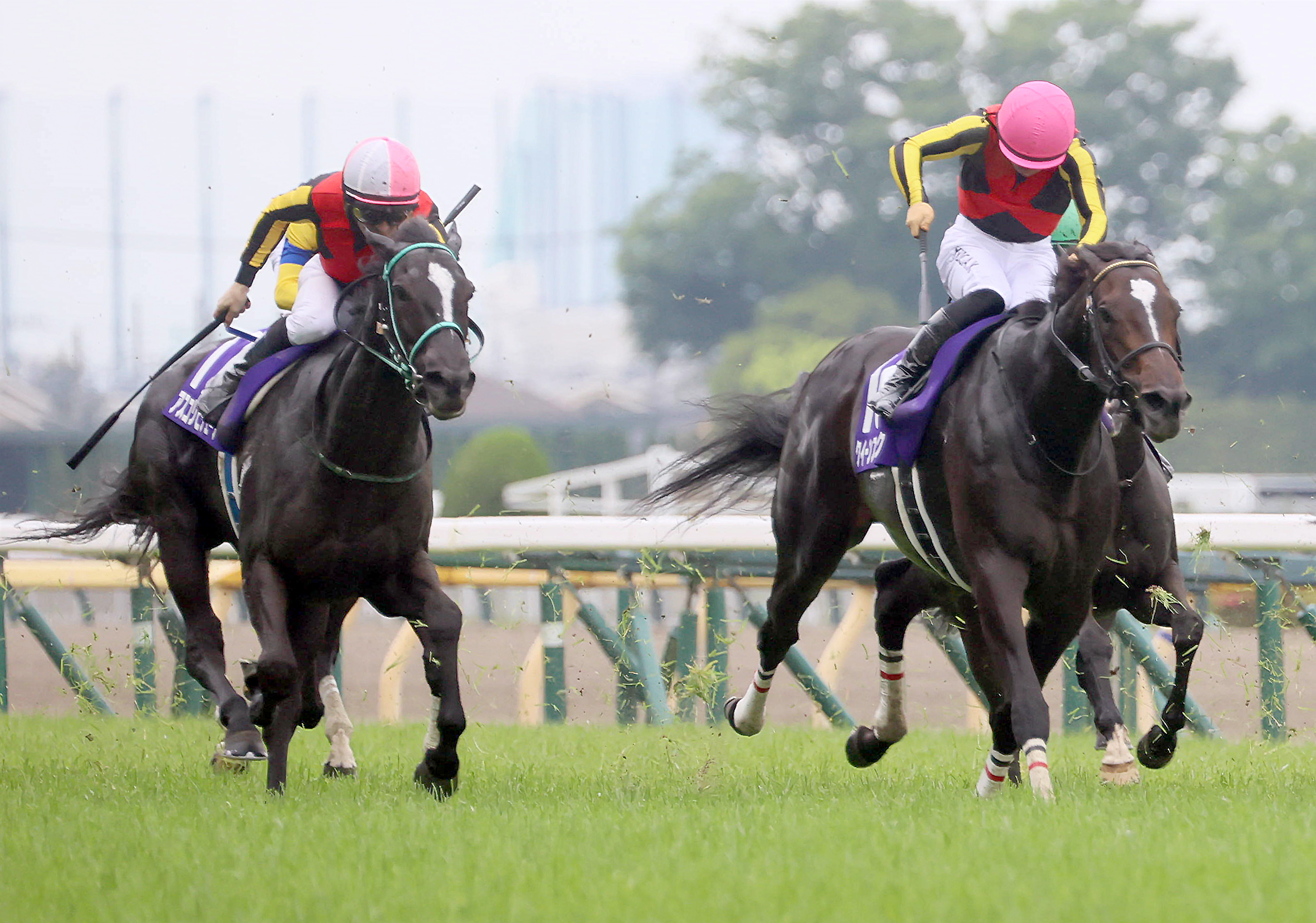 ヴィクトリアM】ノーザンファーム生産馬のワンツー 吉田勝己代表は感激