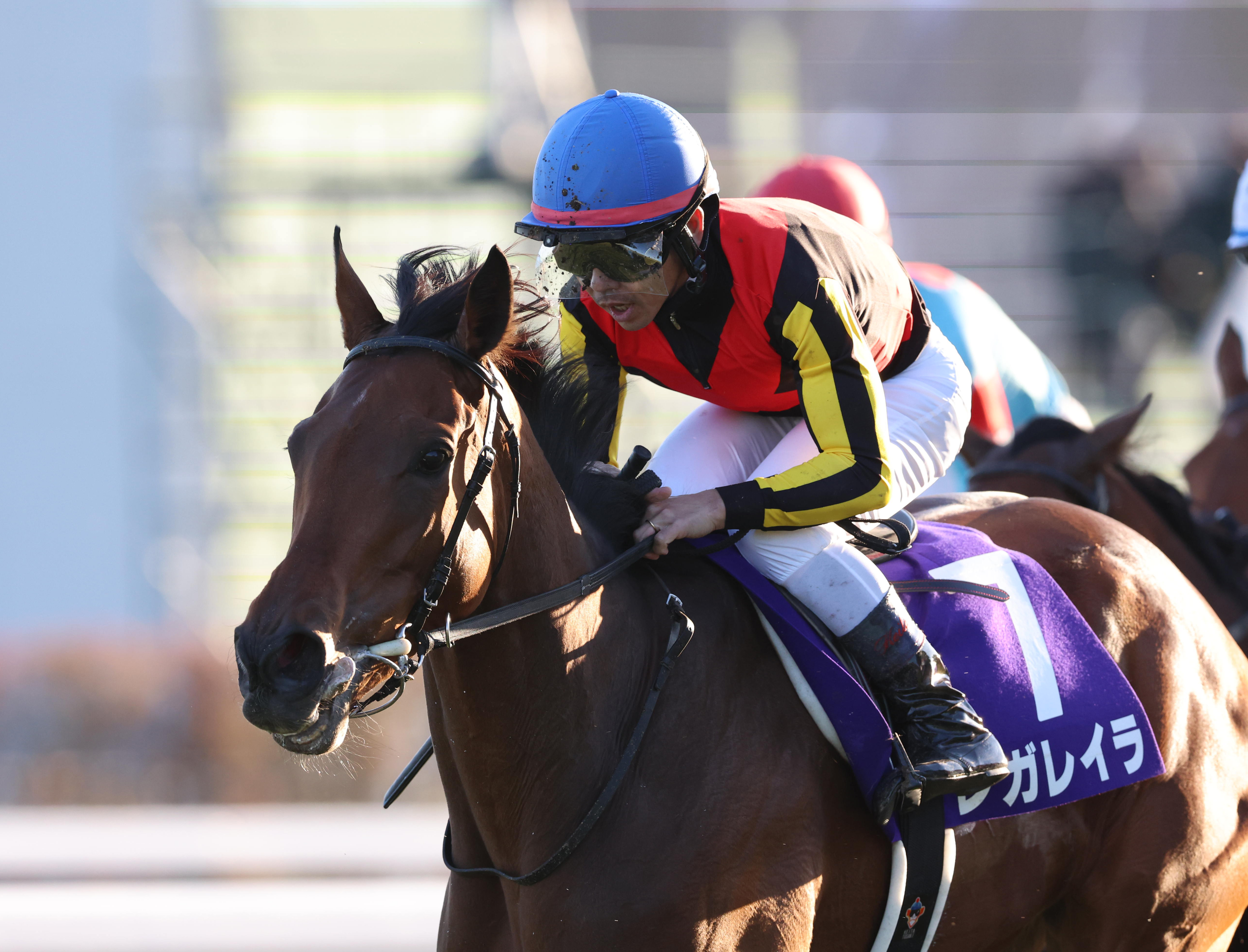 有馬記念】ファン投票第2回中間発表 レガレイラが1位キープ - サンスポ