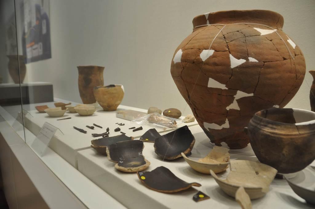 エミシの土器」が東京・多摩で出土 強制移住示す根拠か 坂上田村麻呂