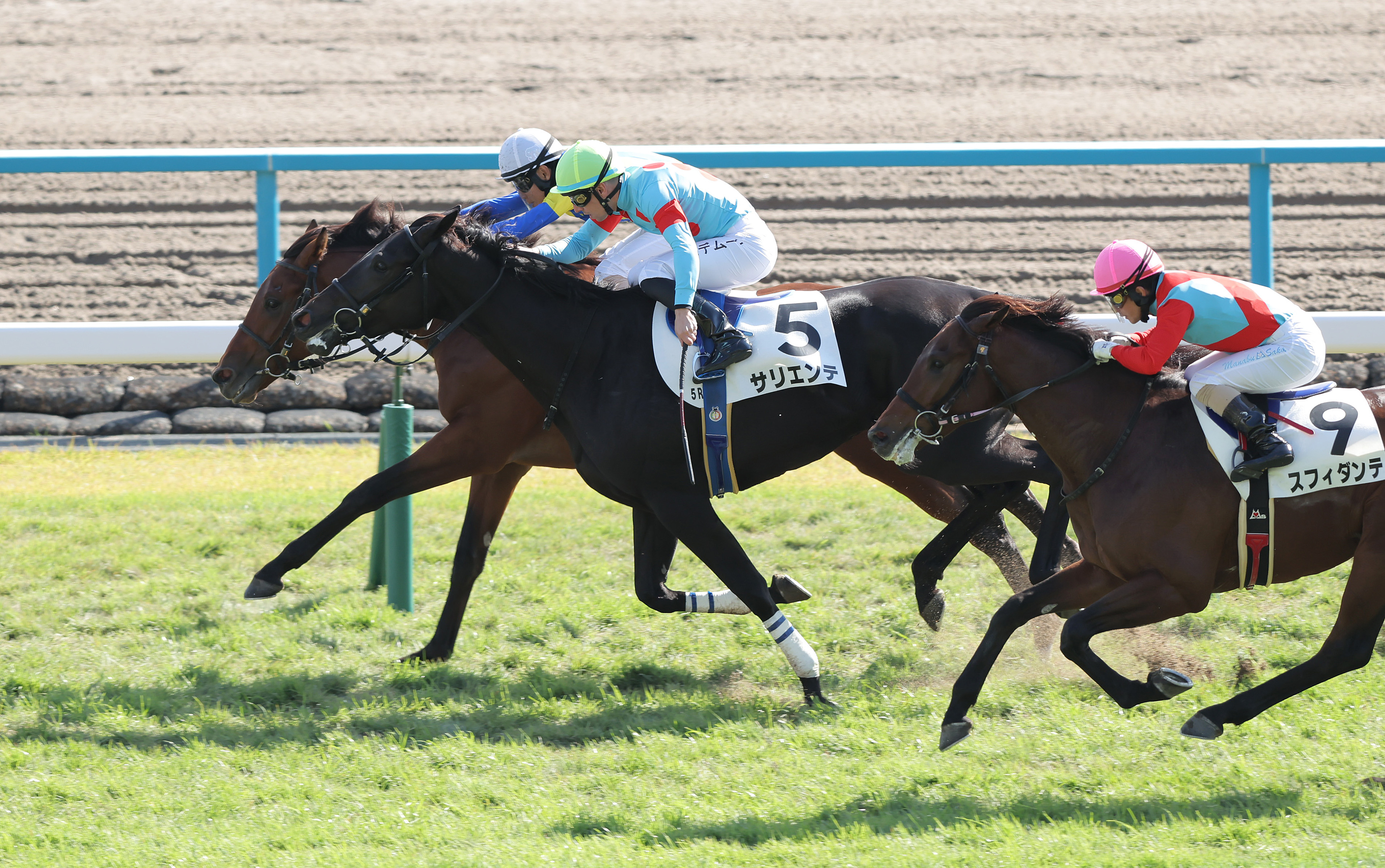 2歳新馬・京都5R】シャドウマスターが人気馬同士の競り合い制す（写真