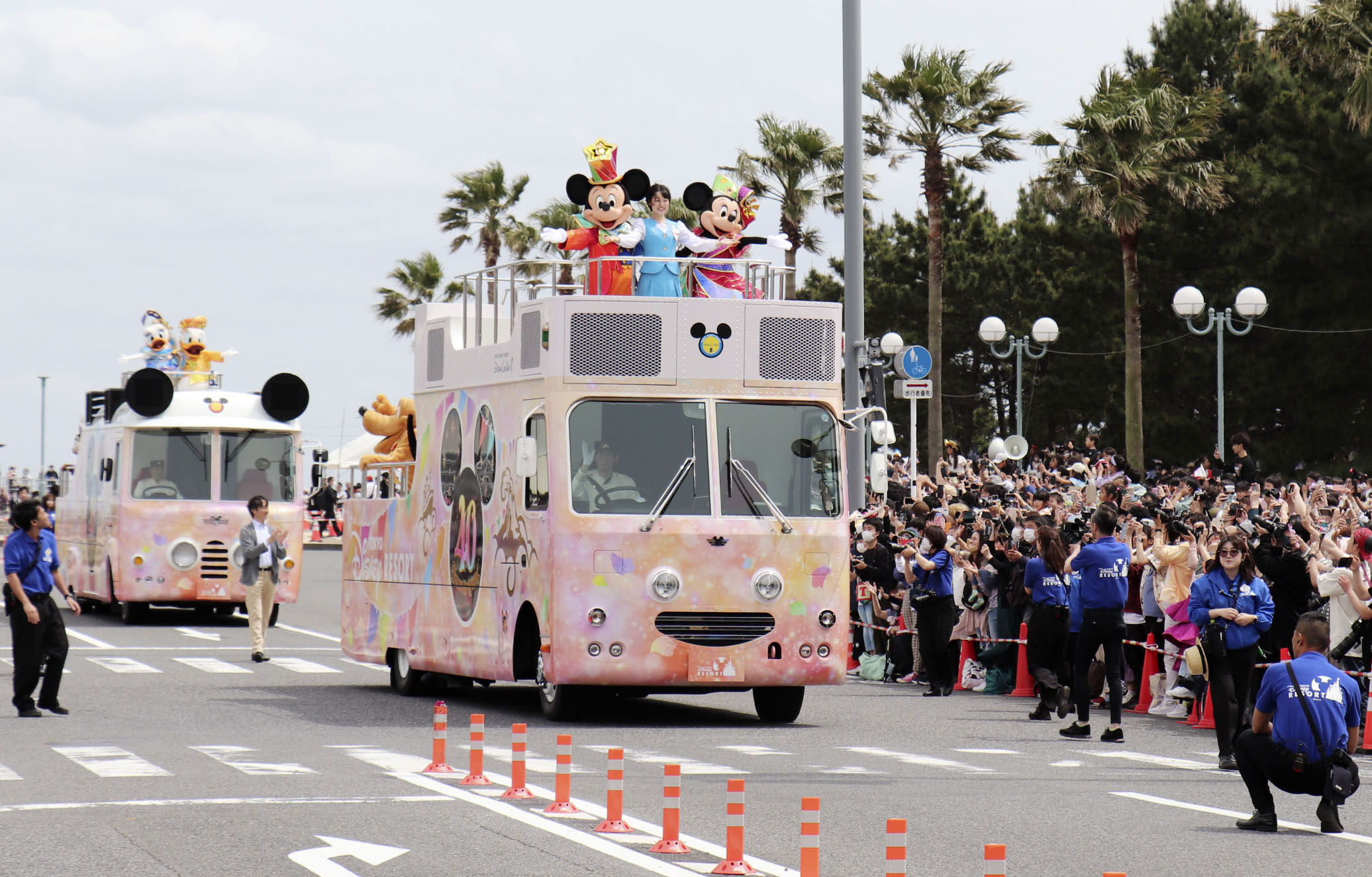 激レア 東京ディズニーランド 浦安市民招待券 GRAND OPENING 気持ち良