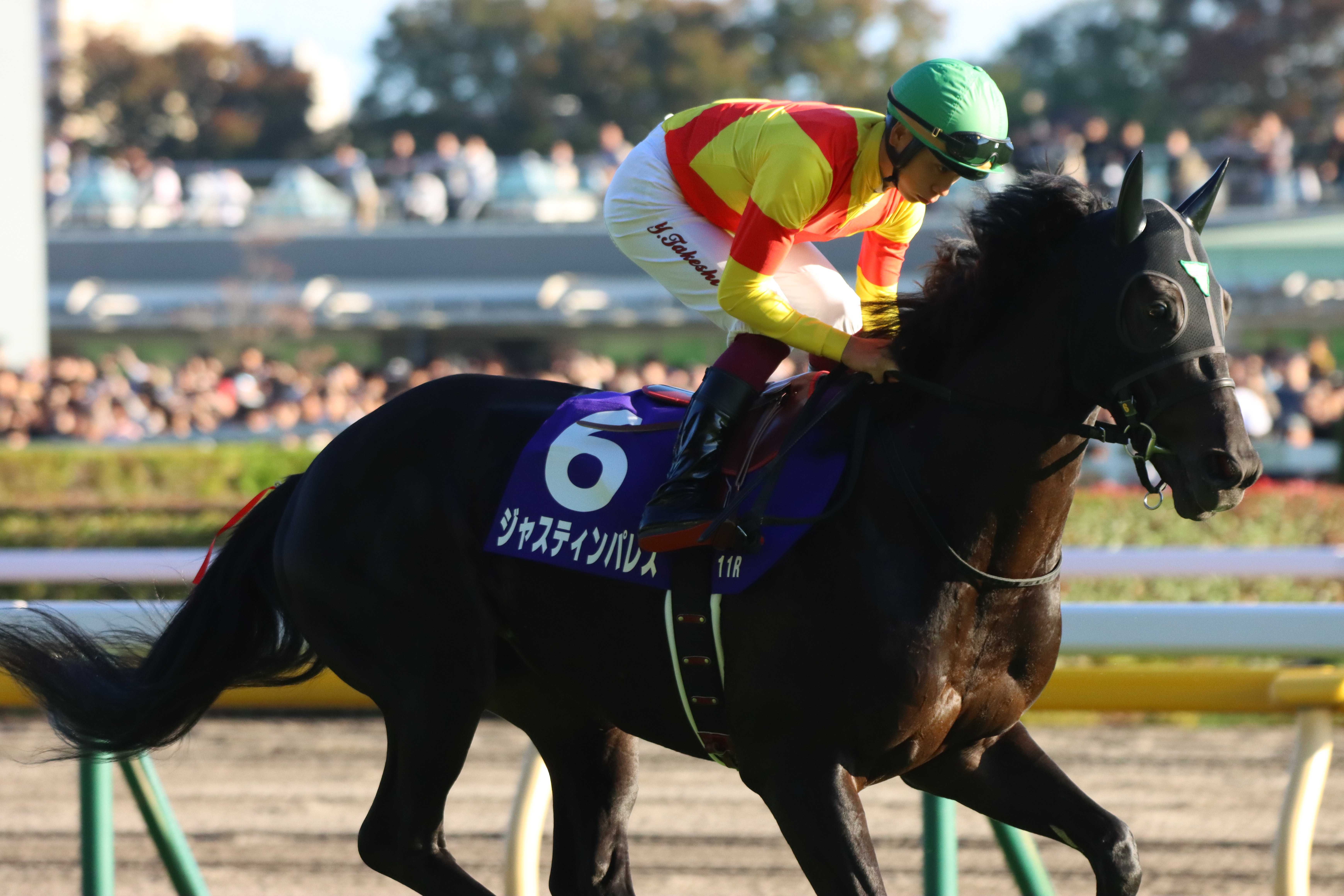 競馬2着馬物語 6FGTCEJOM5I2LCMKFLJPH2BSGA.jpg