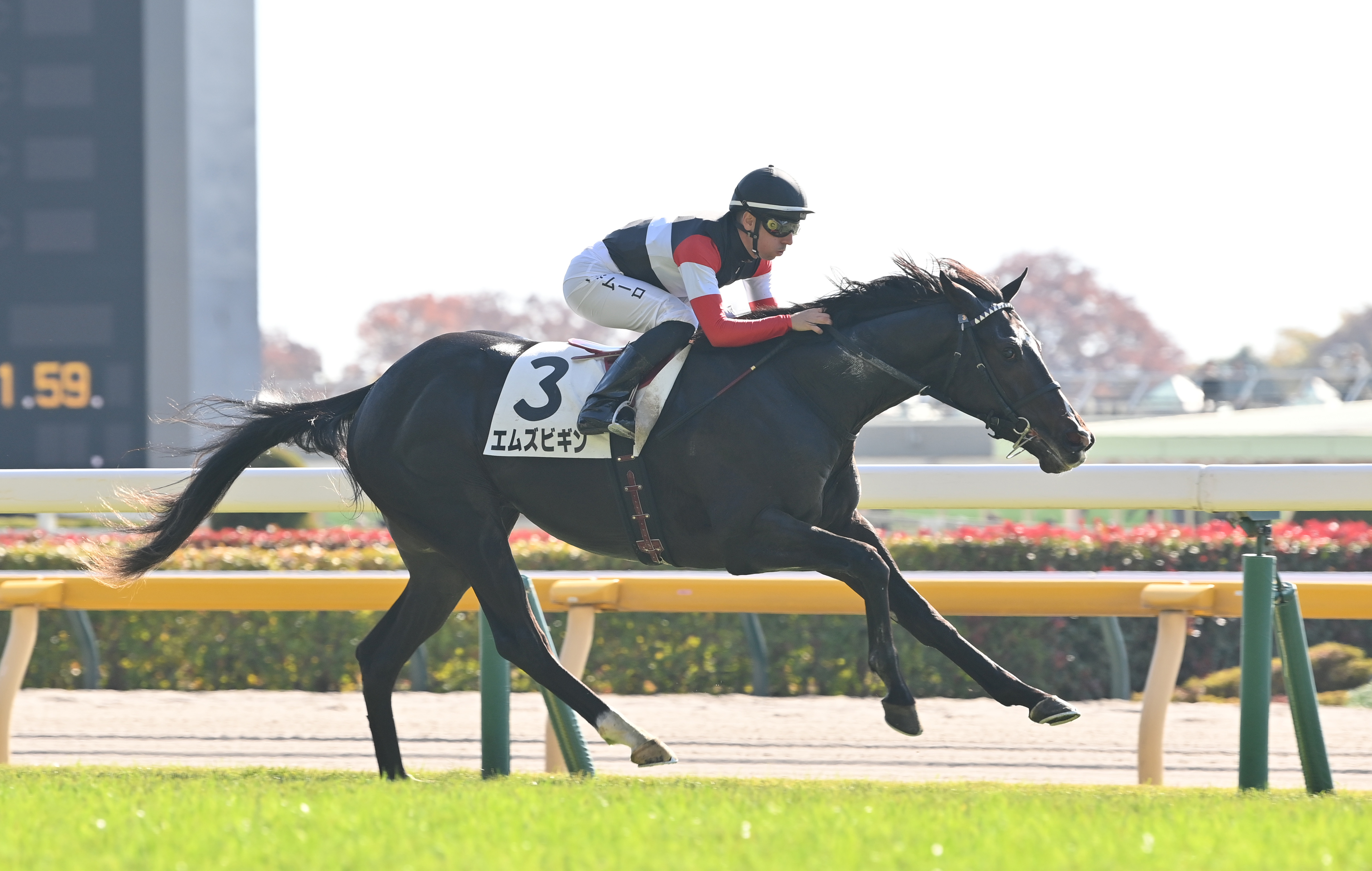 2歳次走報】エムズビギンは川田将雅騎手との新コンビできさらぎ賞に