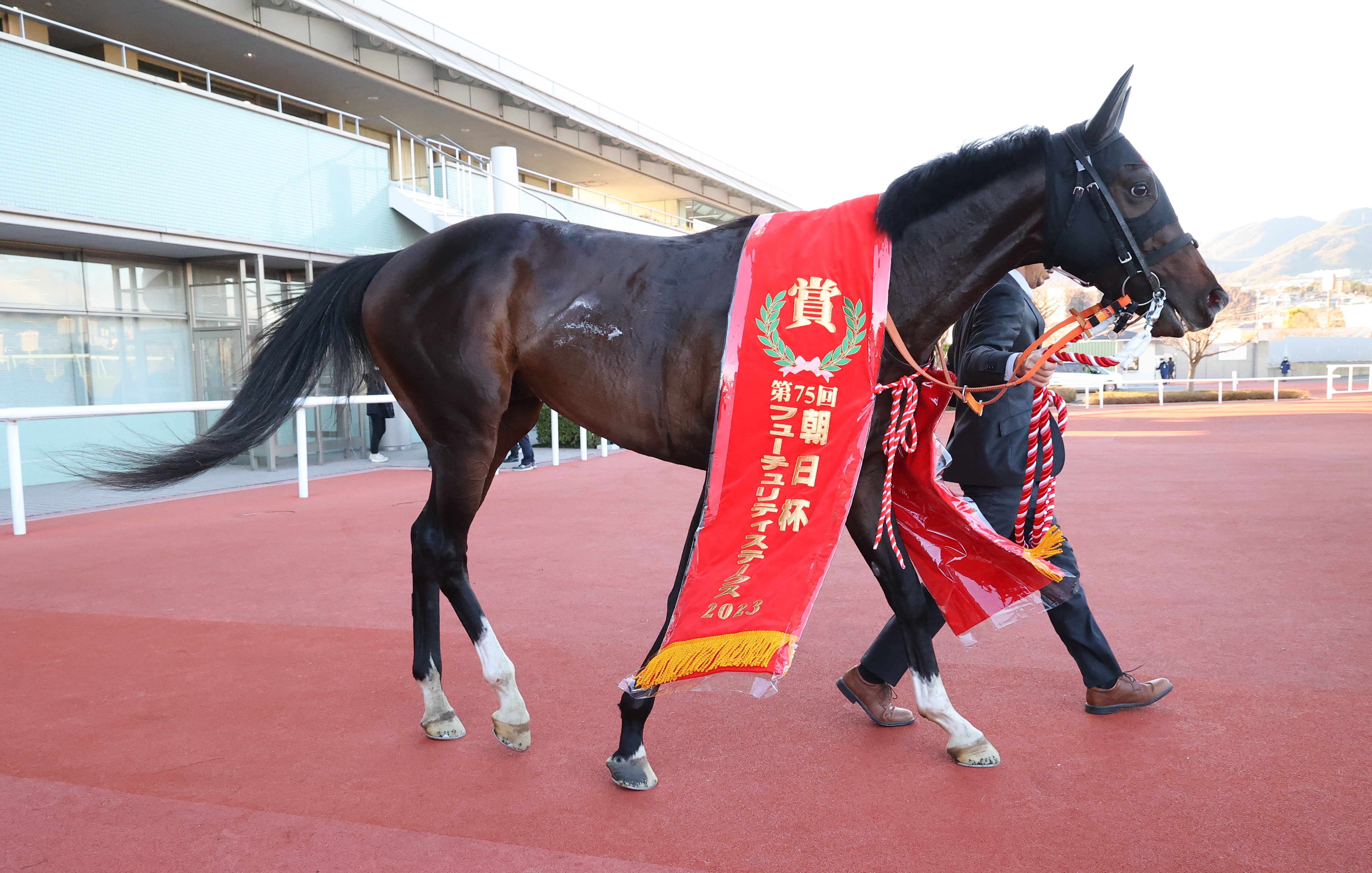 ダーレー・ジャパンの2024年度種付け料決まる 新種牡馬
