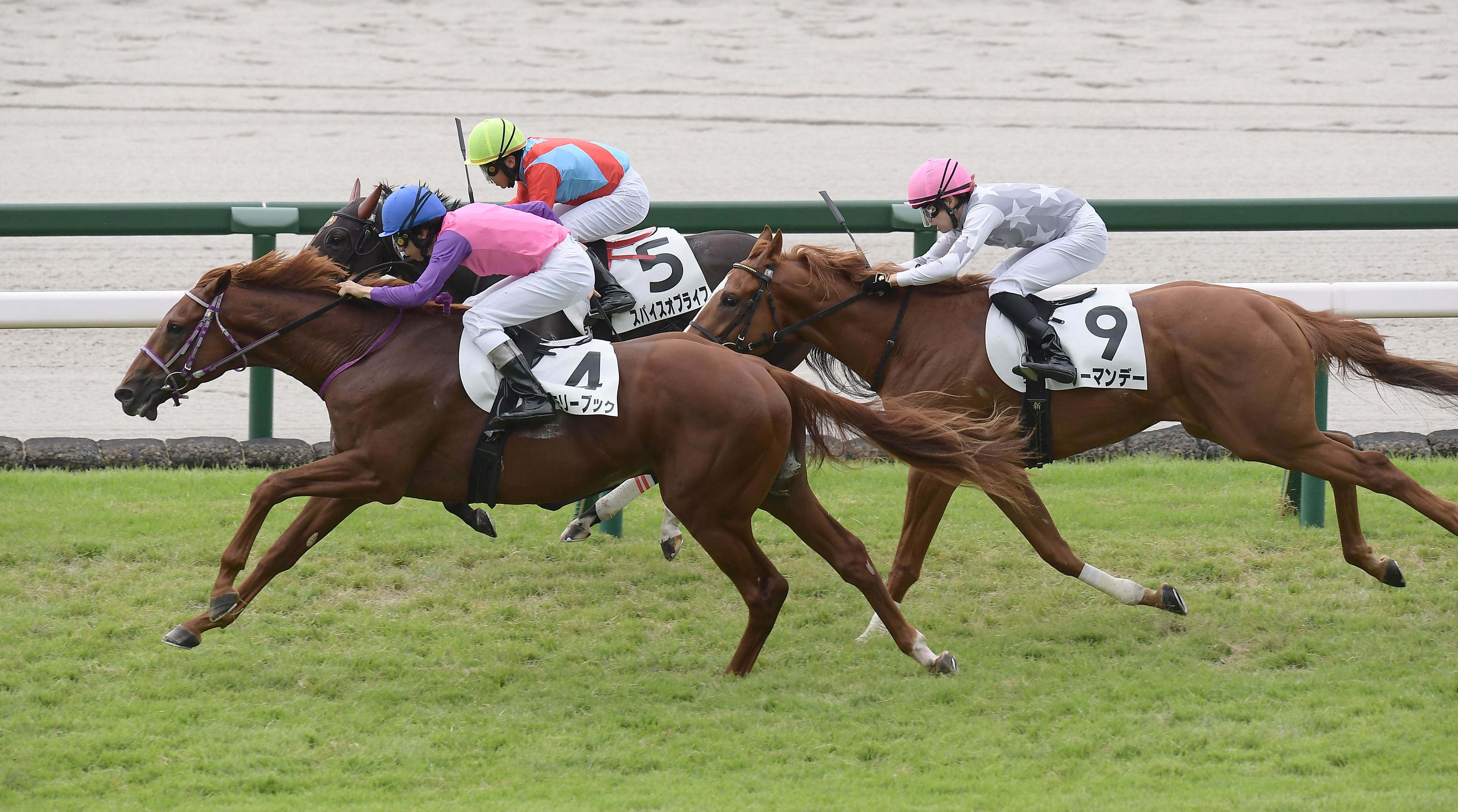 2歳新馬・阪神5R】単勝107.4倍の最低人気メモリーブックが快勝！ 飯田
