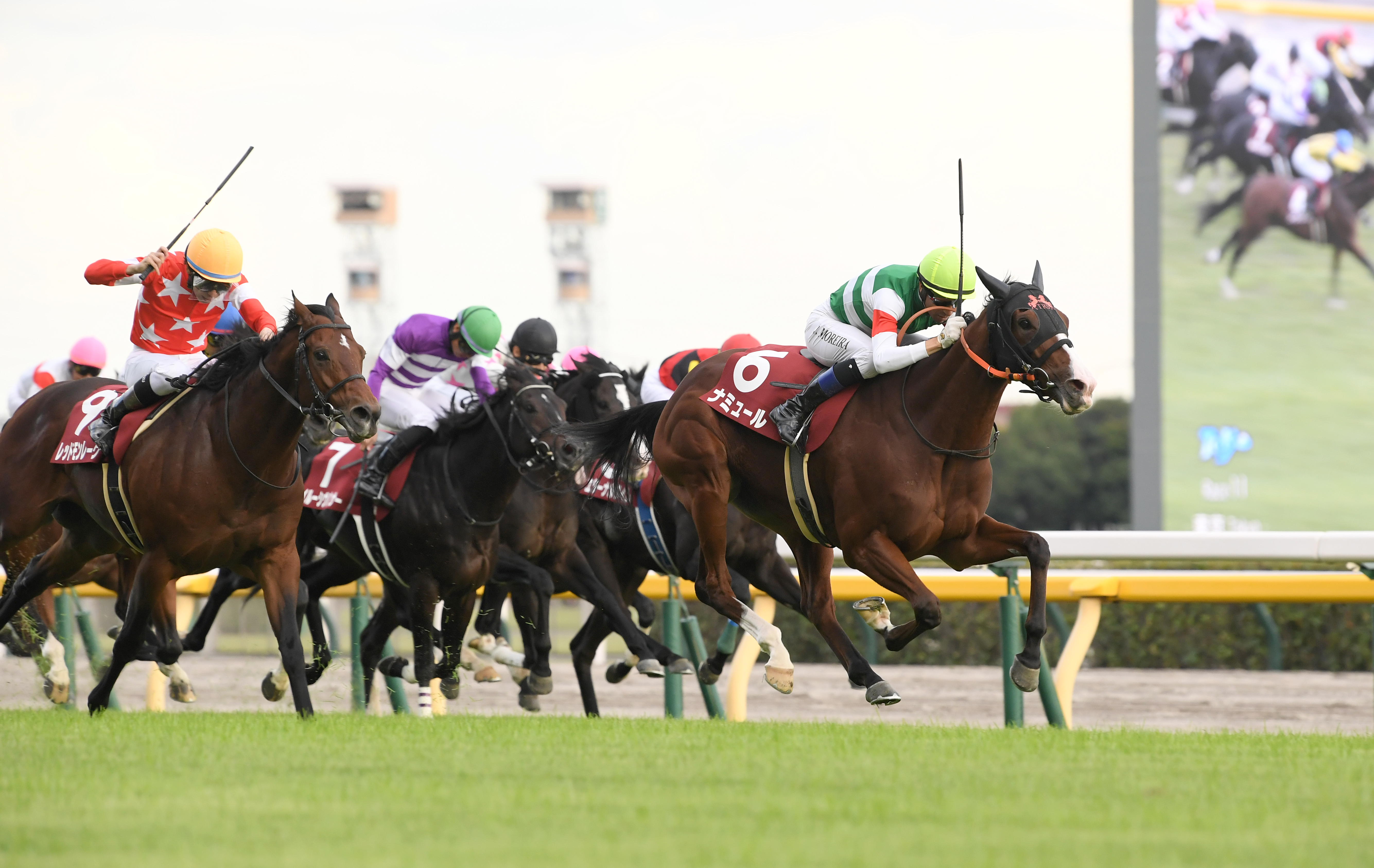 【マイルＣＳの注目点】牝馬ナミュールが待望のＧＩ初勝利を狙う