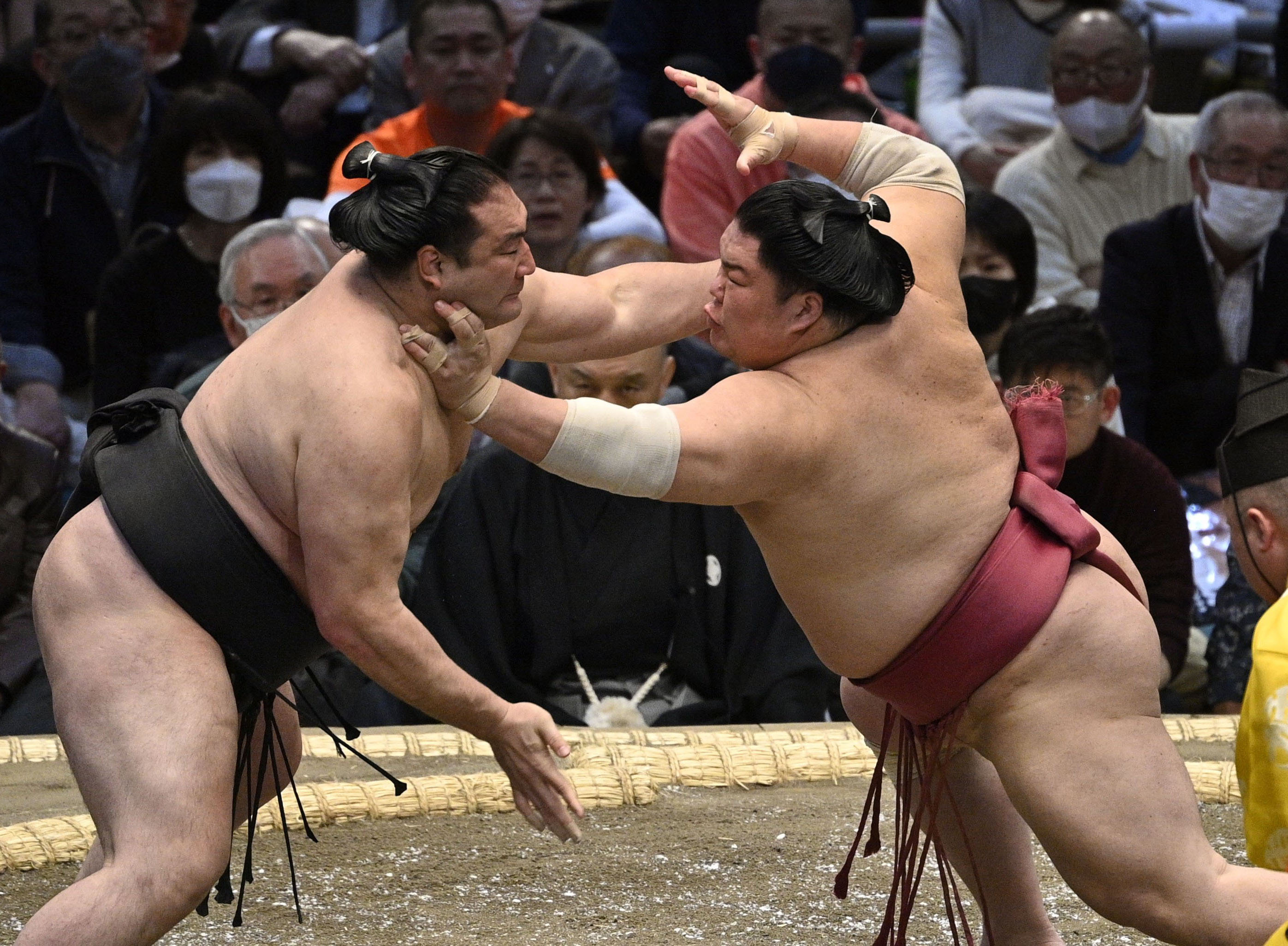 追手風部屋の大栄翔、翔猿が好調 三役以上の全勝は２人だけ 大栄翔