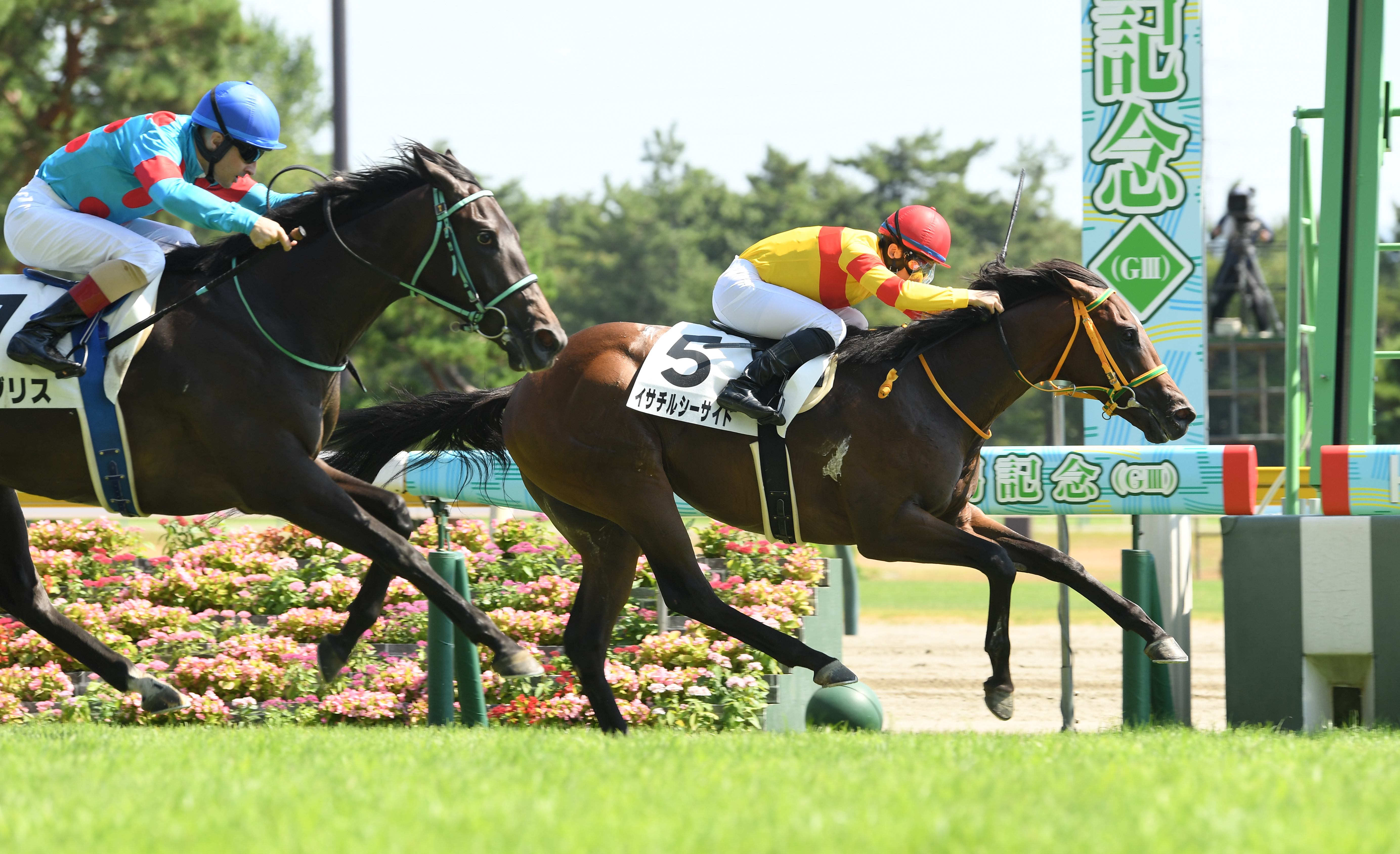 【２歳新馬・新潟６Ｒ】イサチルシーサイドが人気馬の追撃 ...