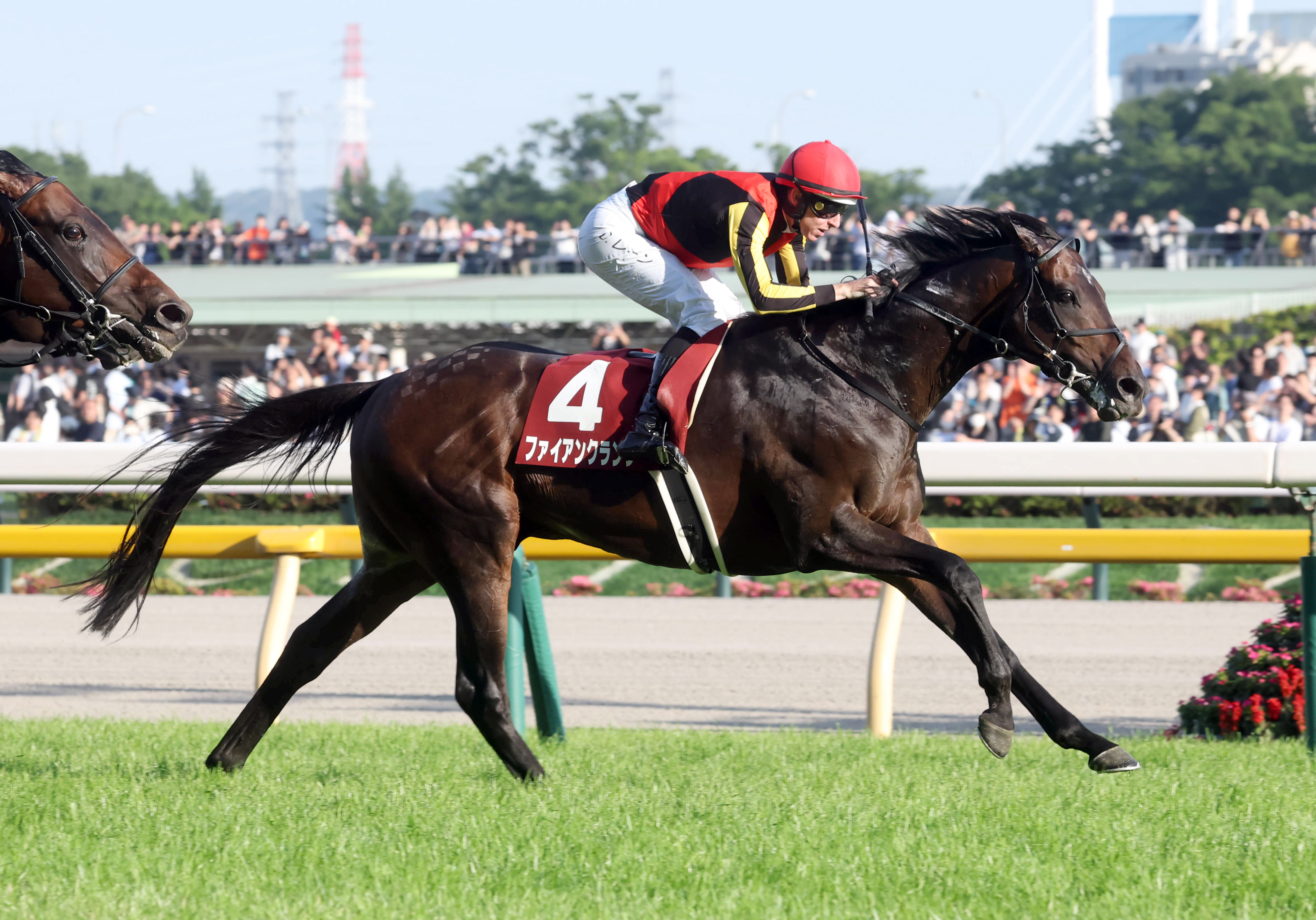 レア　ファンク.レダン　サンモッツの競馬リトグラフA/P 目黒記念】ファイアンクランツが中団から抜け出し重賞初制覇（写真