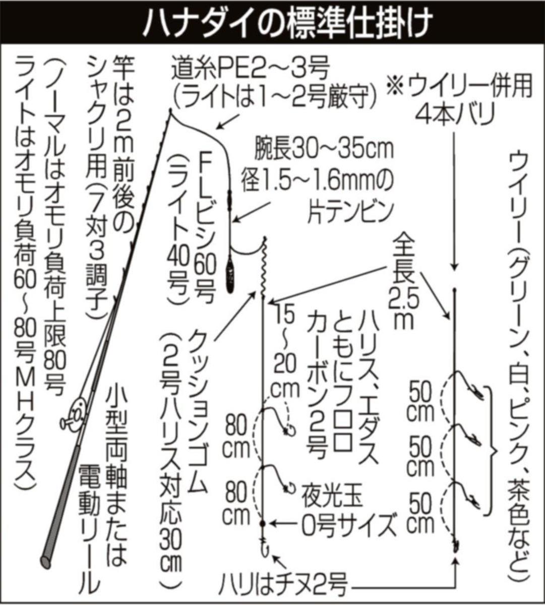 ハナダイ好調トップ２０ ４０尾 お正月の膳に コマセシャクリで狙う 外房 片貝沖 サンスポ