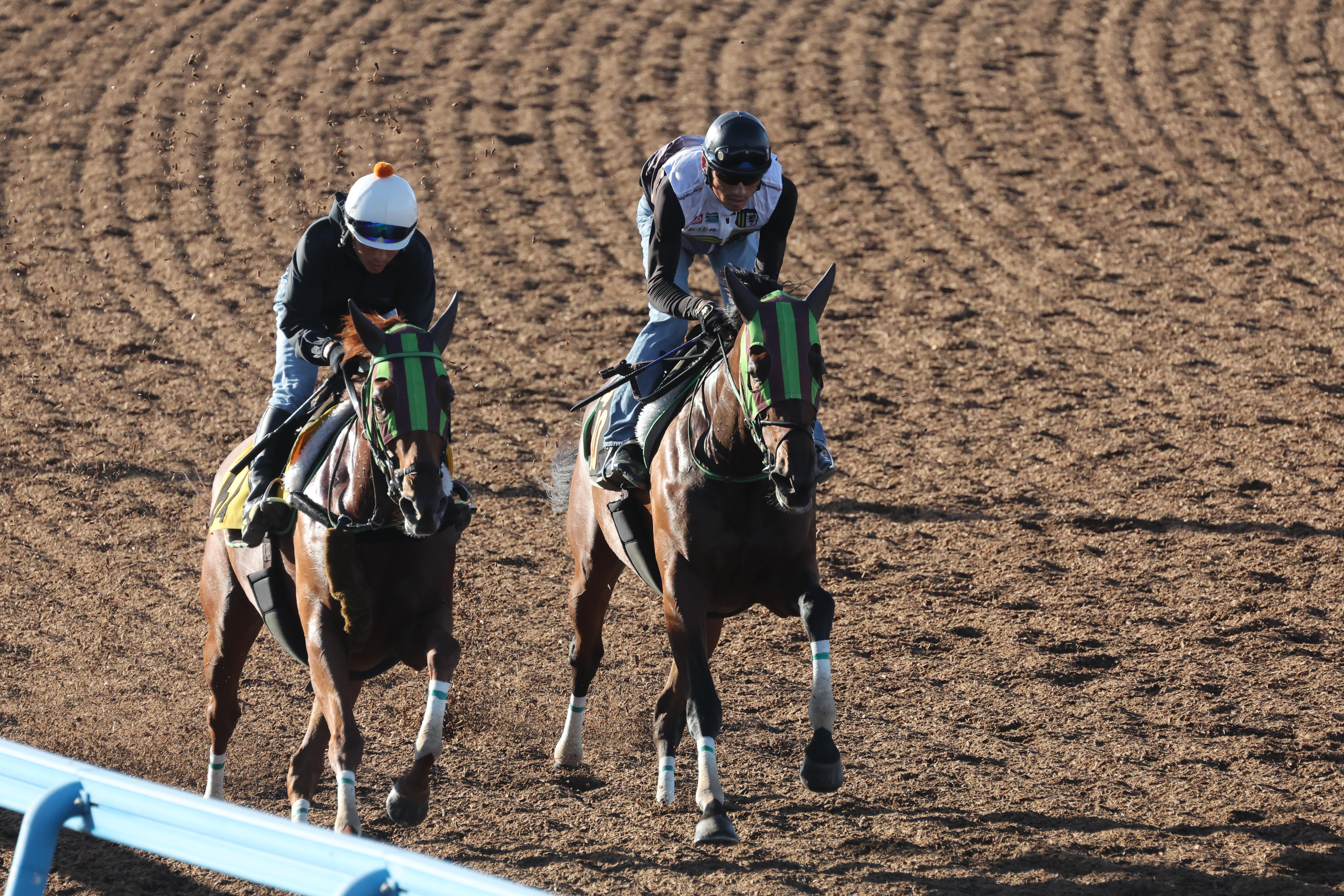 【紫苑Ｓ】グランベルナデット５カ月ぶり始動戦に勝って本番へ