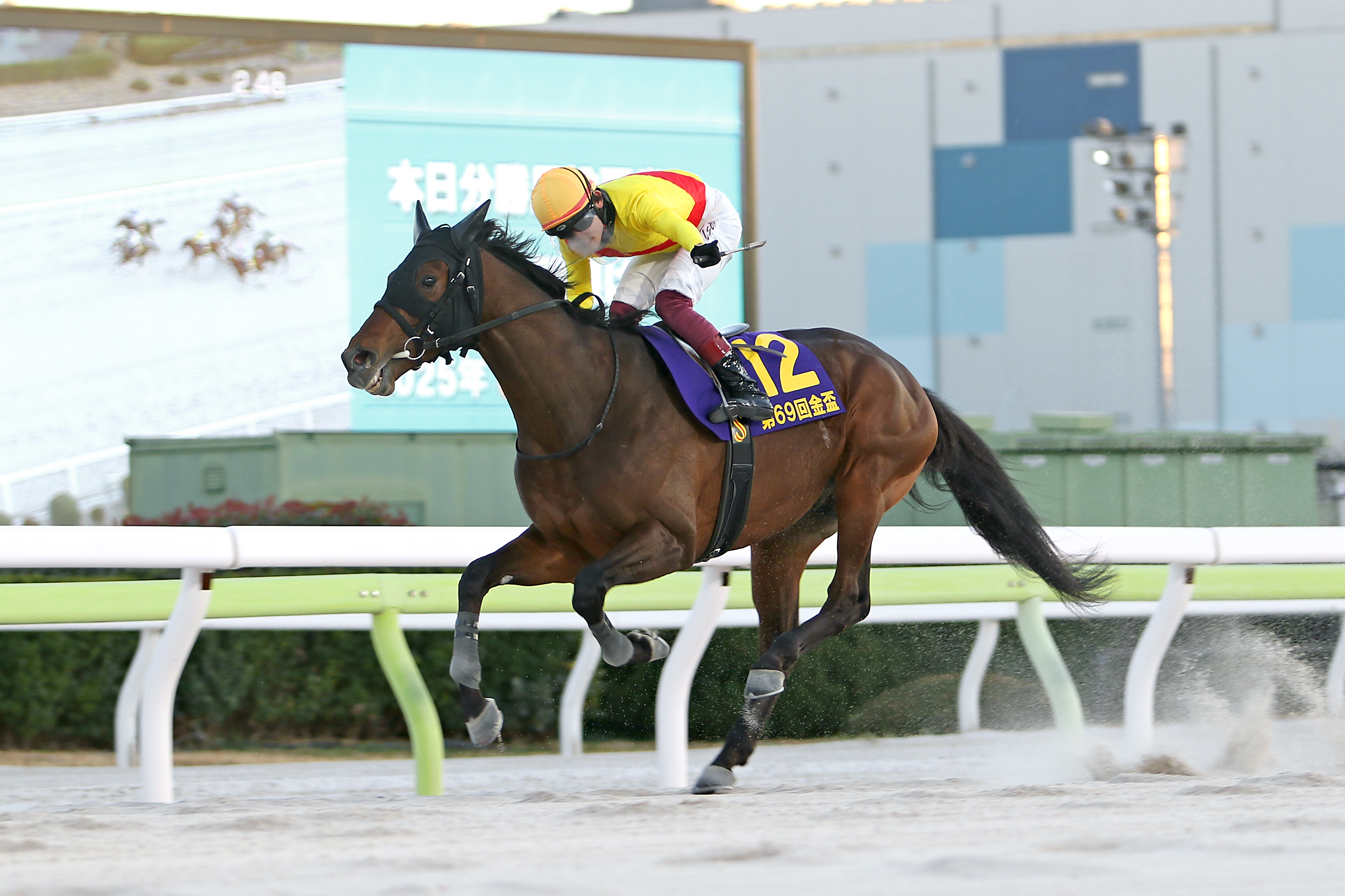 ⭐️非売品⭐️大井競馬⭐️イベント限定品⭐️新品未開封⭐️ラゲッジタグ＆折り紙　２点セット 大井競馬場 75周年ロゴ入りラゲッジタグ - メルカリ