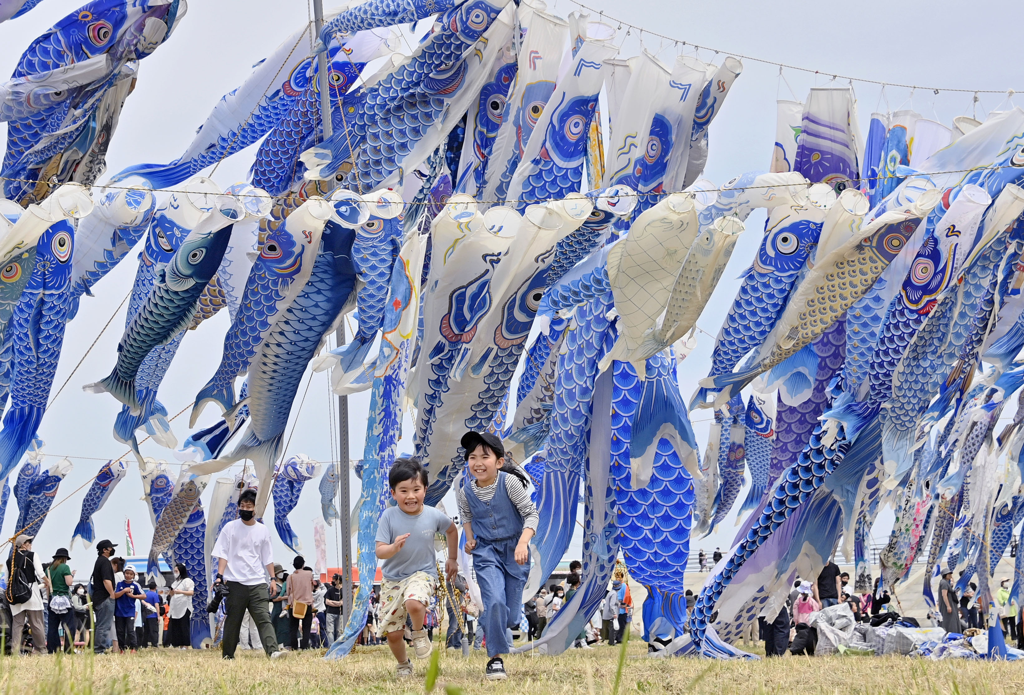こいのぼり 江戸6m5色・瑞祥吹流しセット こいのぼり 鯉のぼり