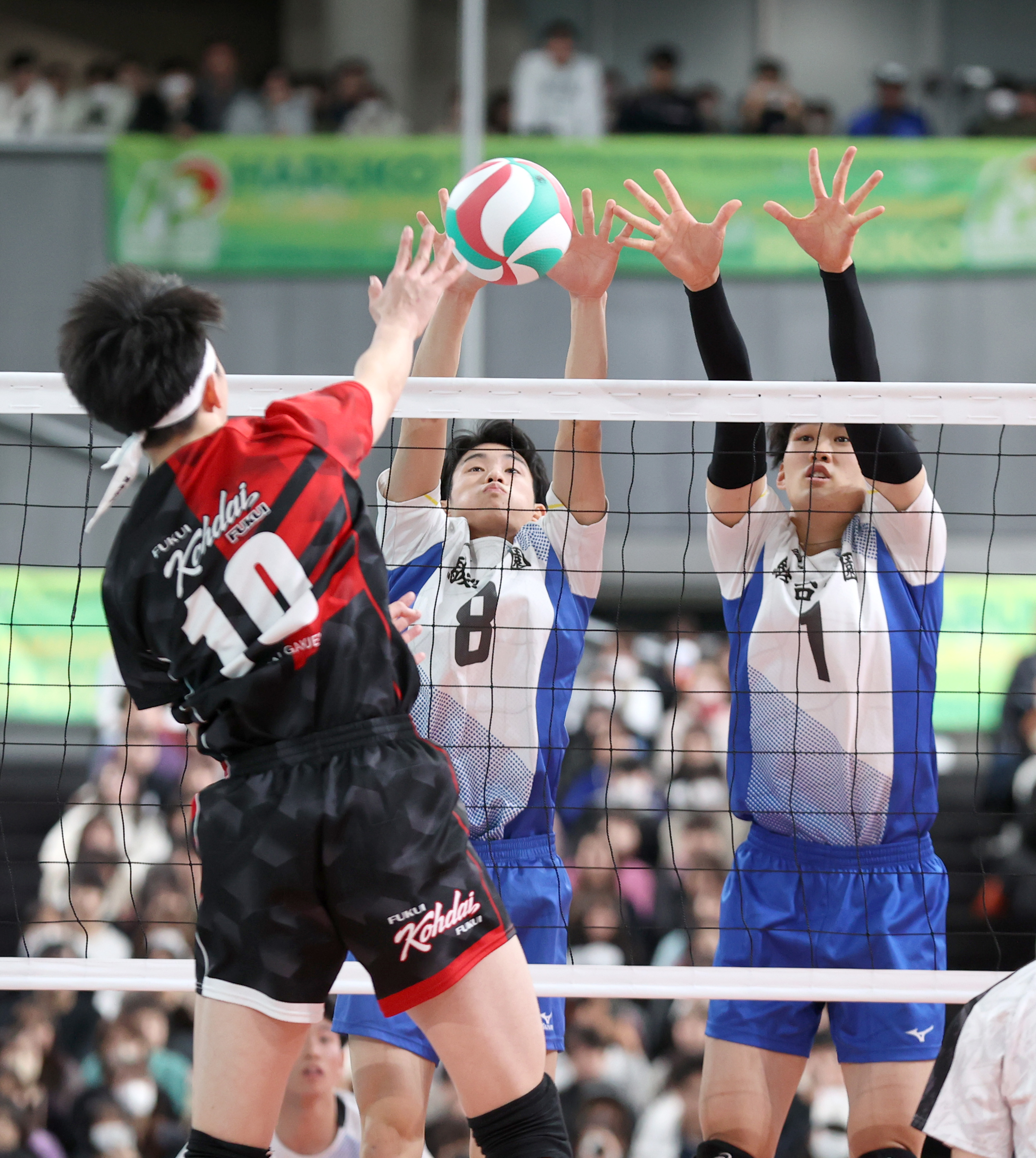 フォト】駿台学園が2大会連続V 福井工大福井に3－0 春高バレー