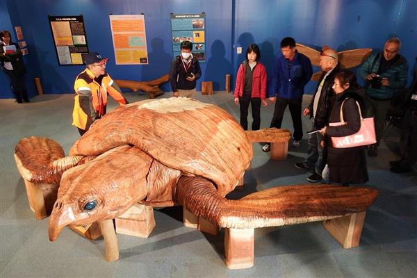 これが恐竜時代の巨大ウミガメ「アーケロン」 実物大に復元 - 産経ニュース