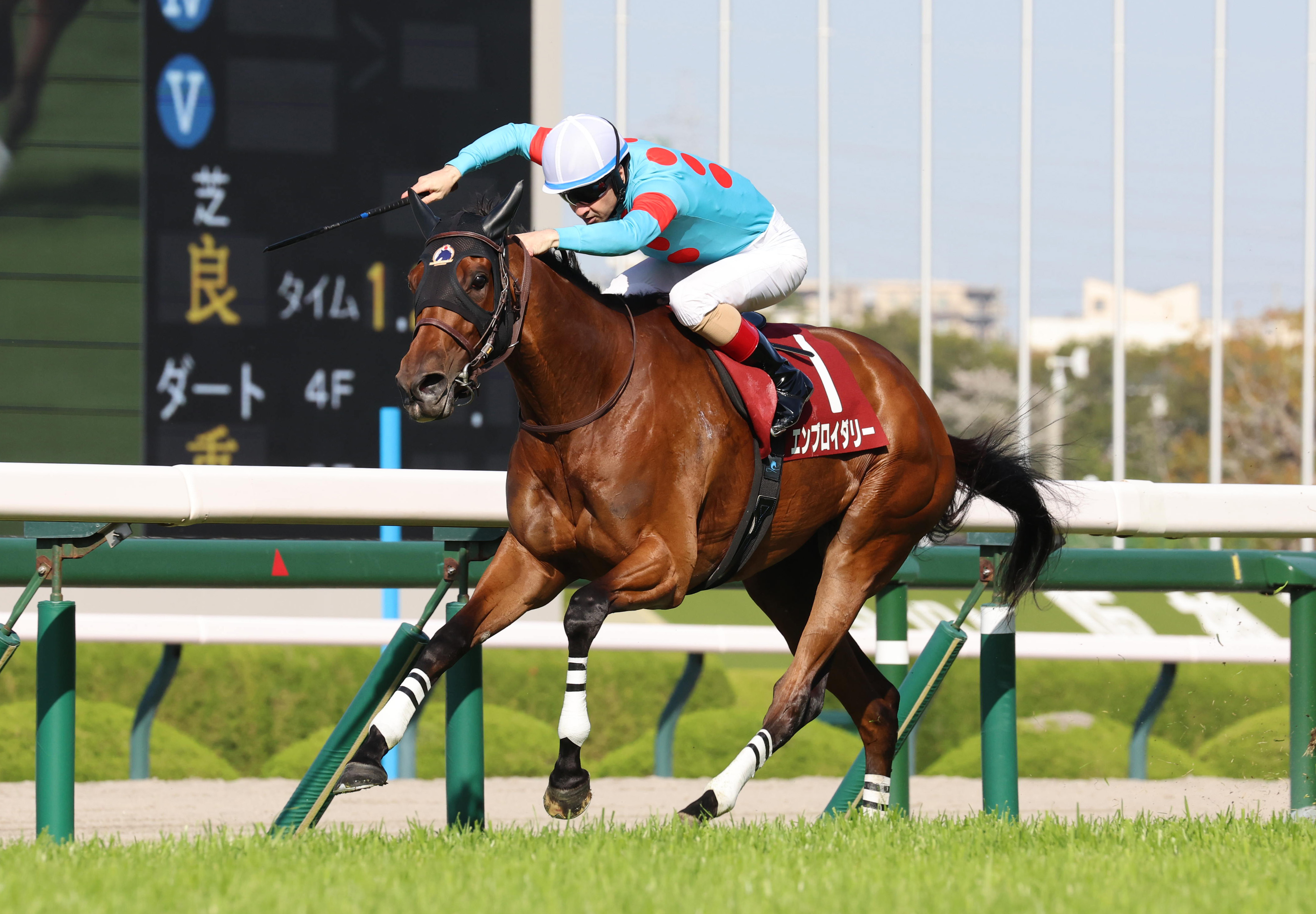 レア　ファンク.レダン　サンモッツの競馬リトグラフA/P レア ファンク.レダン サンモッツの競馬リトグラフA/P 2歳新馬・阪神5R