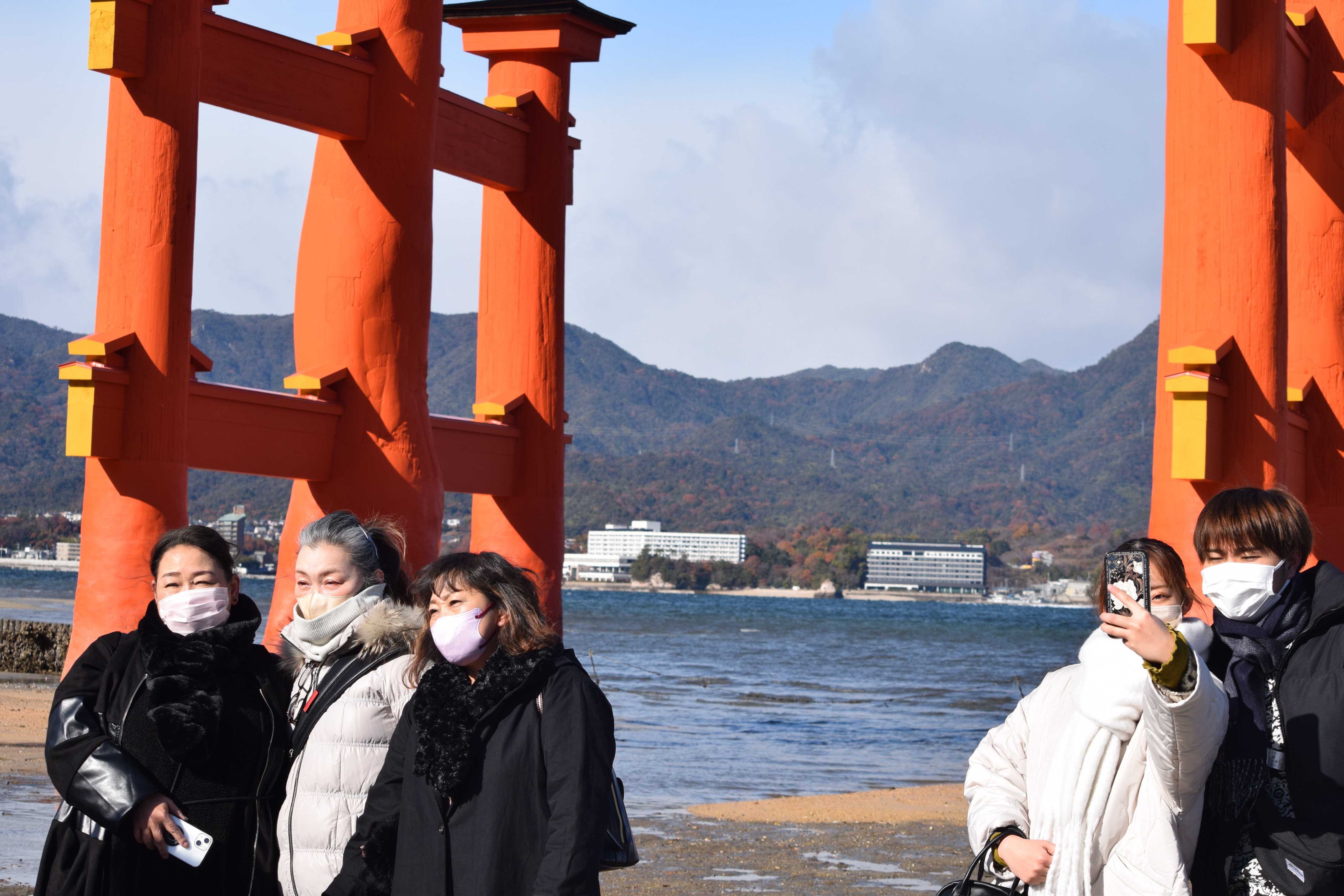 シロアリに侵された厳島神社の大鳥居 よみがえらせた伝統「埋木」技法と最新技術 - 産経ニュース