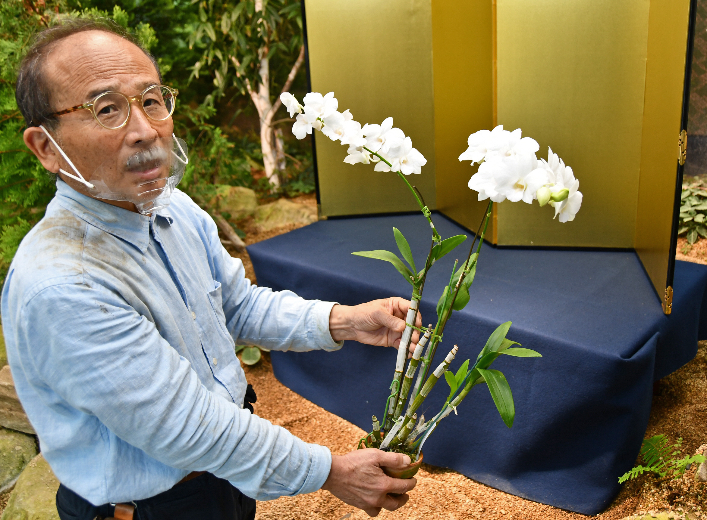 皇后さまゆかりのラン 淡路島の植物園で公開へ - 産経ニュース
