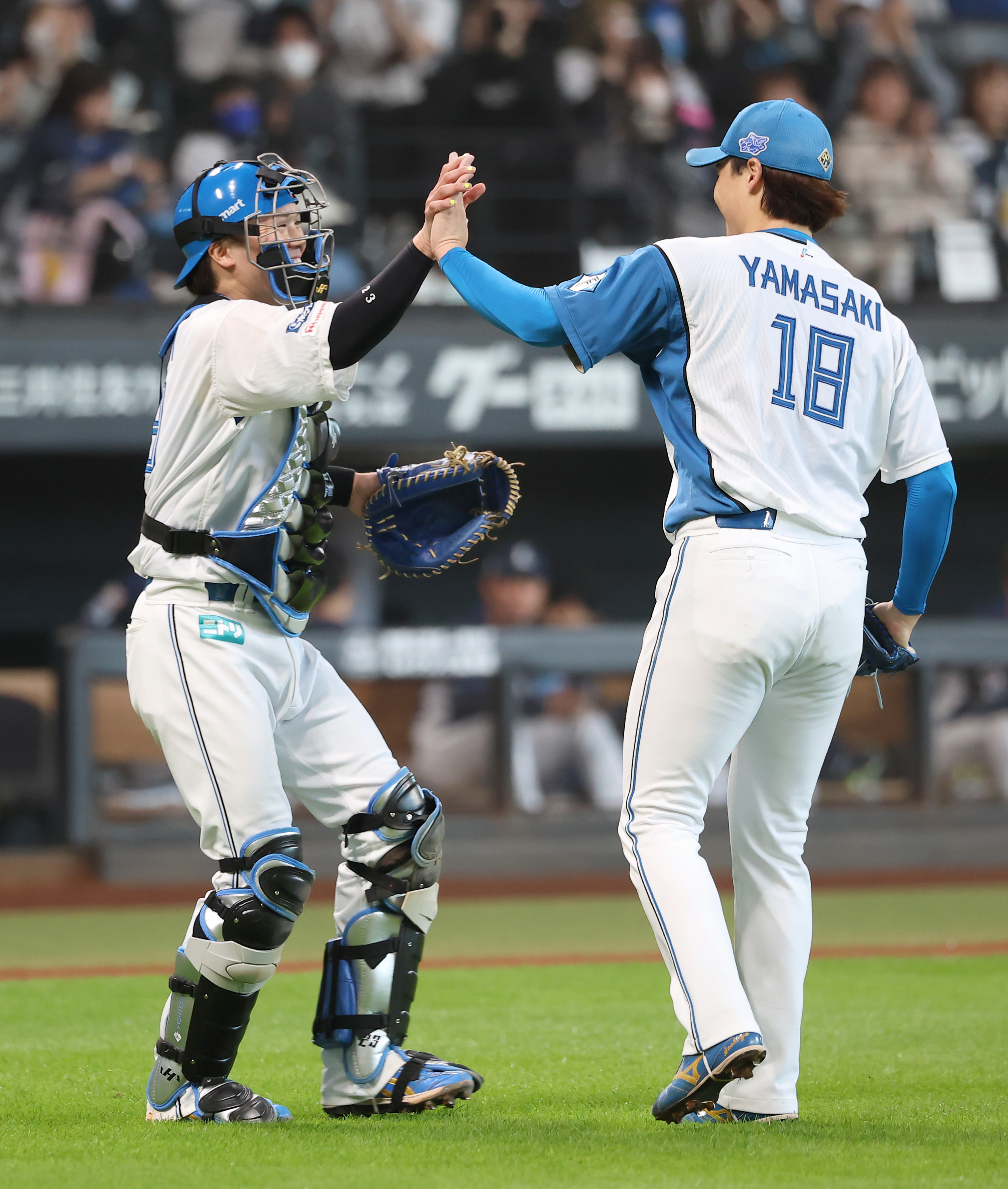 福也からの初プレゼントに応えた？日本ハム・伏見寅威「必死に」タイム