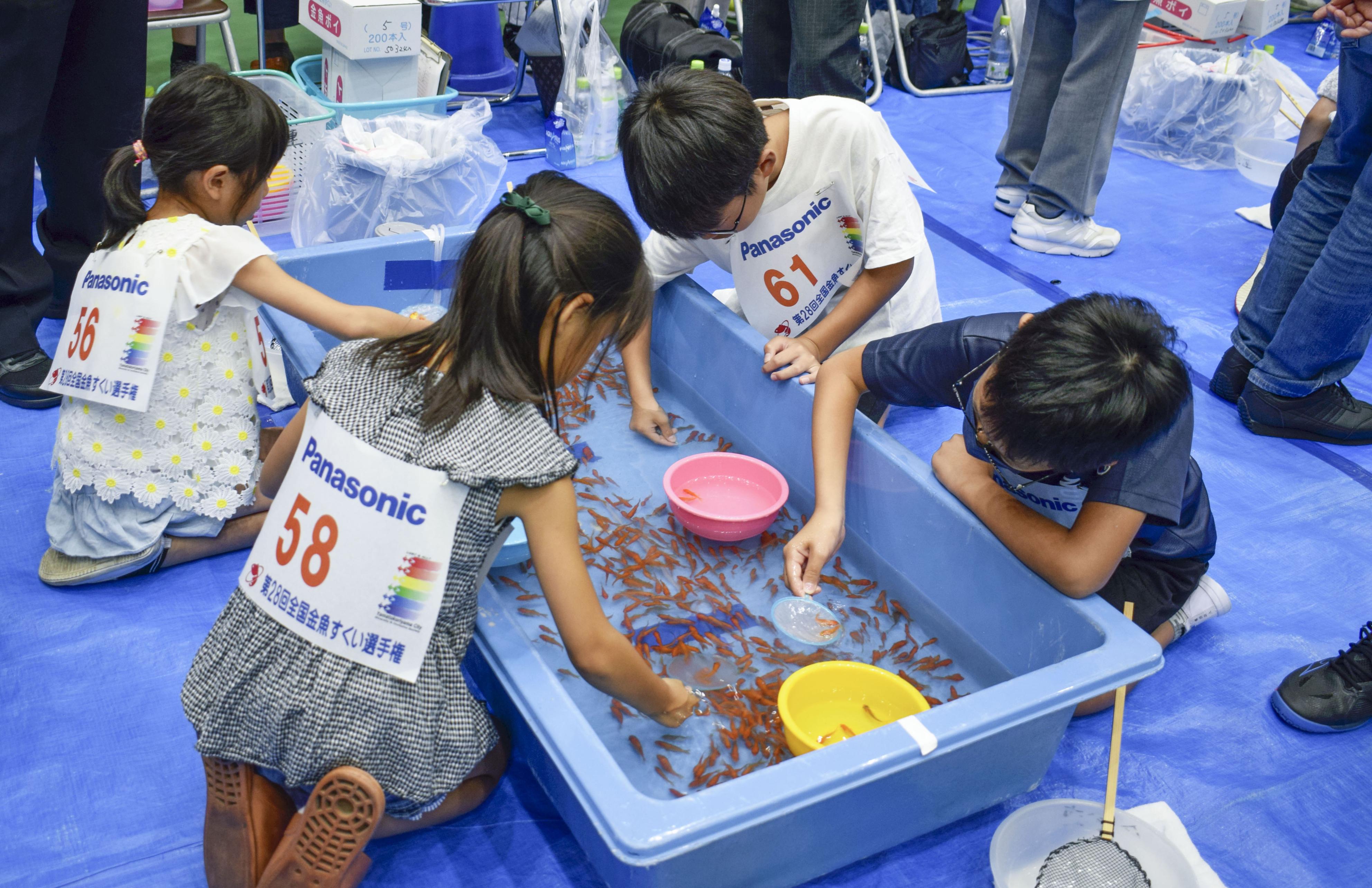 金魚すくい全国大会 小５女児が９２匹、兄とともに優勝 - 産経ニュース